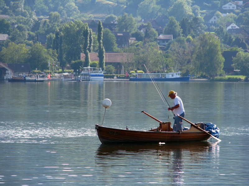 Uster - Niederuster - Greifensee - Maur IMG 3603