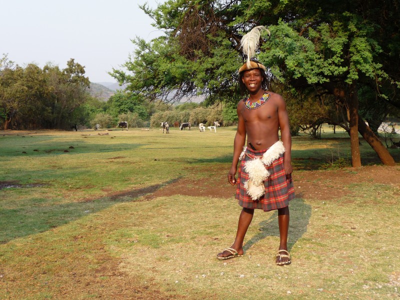 Zulu shepherd
