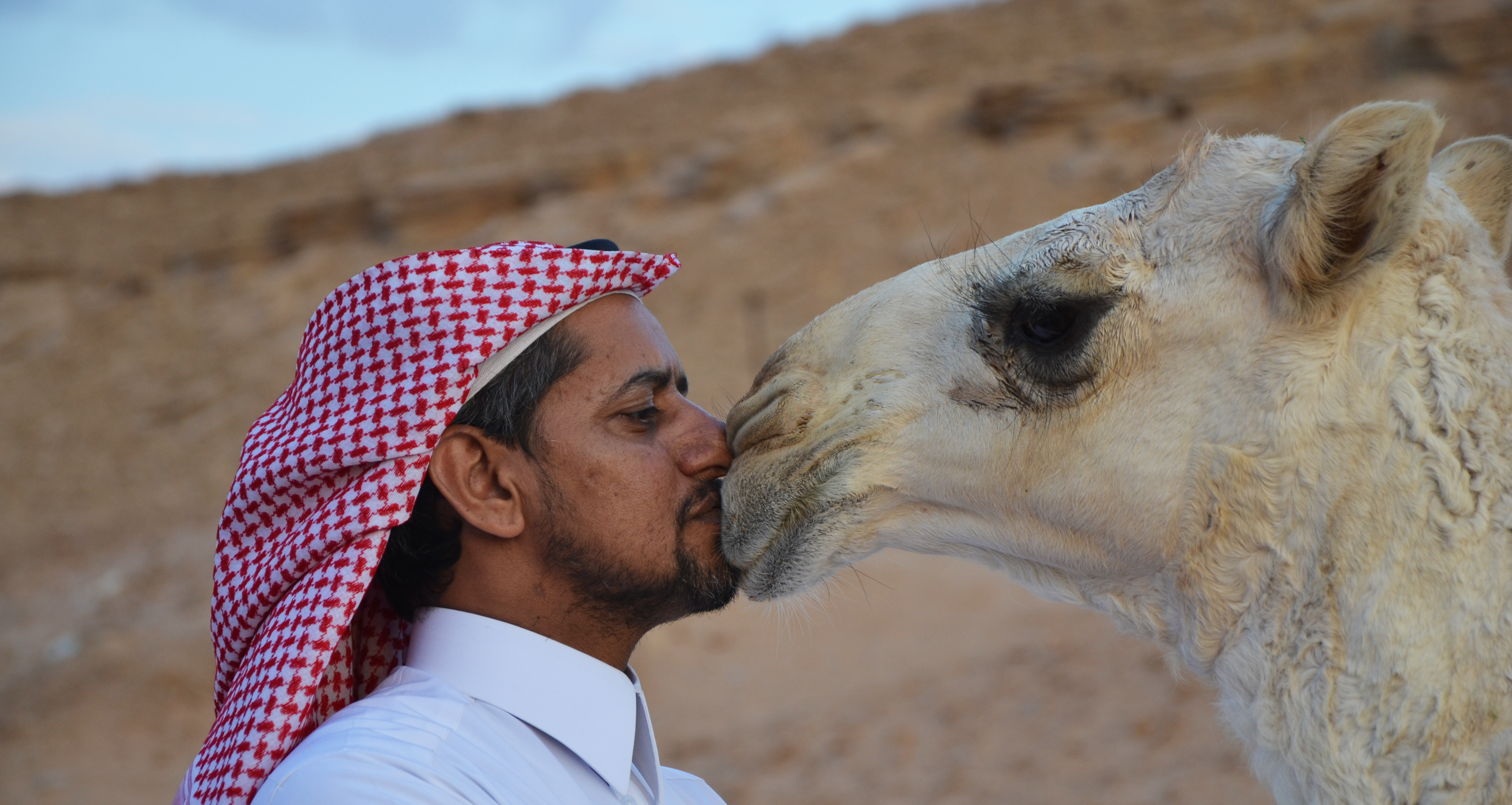 Saudi Arabia (6319806560)