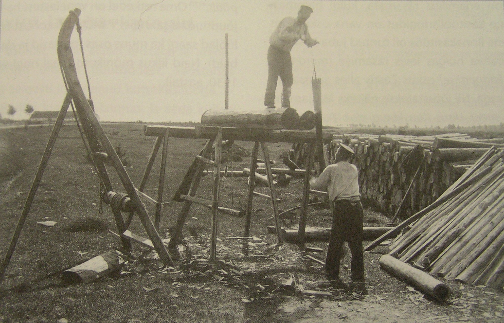 Sawing in Estonia 1913