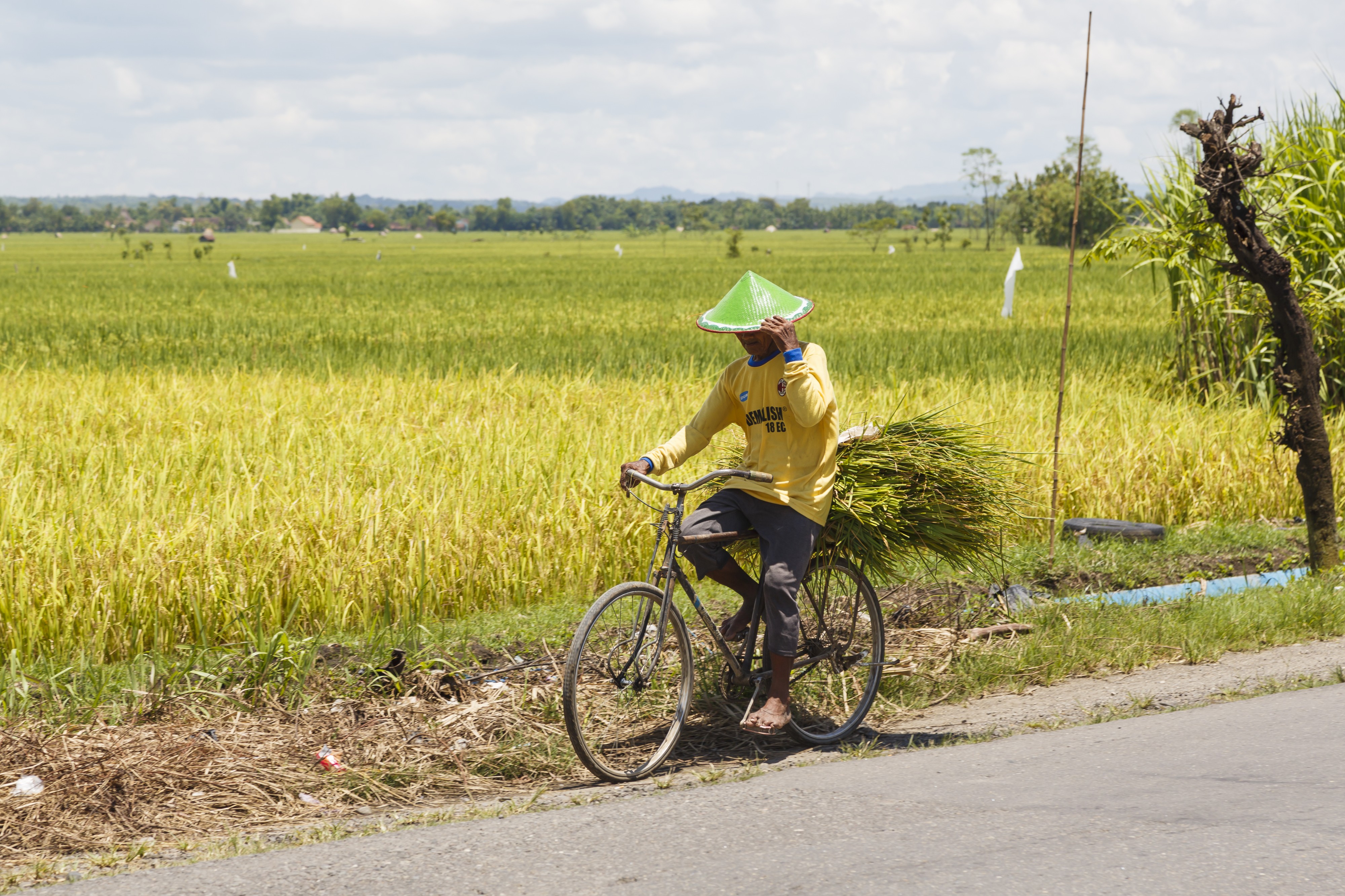 Indonesia Farmer-on-a-bicycle-01