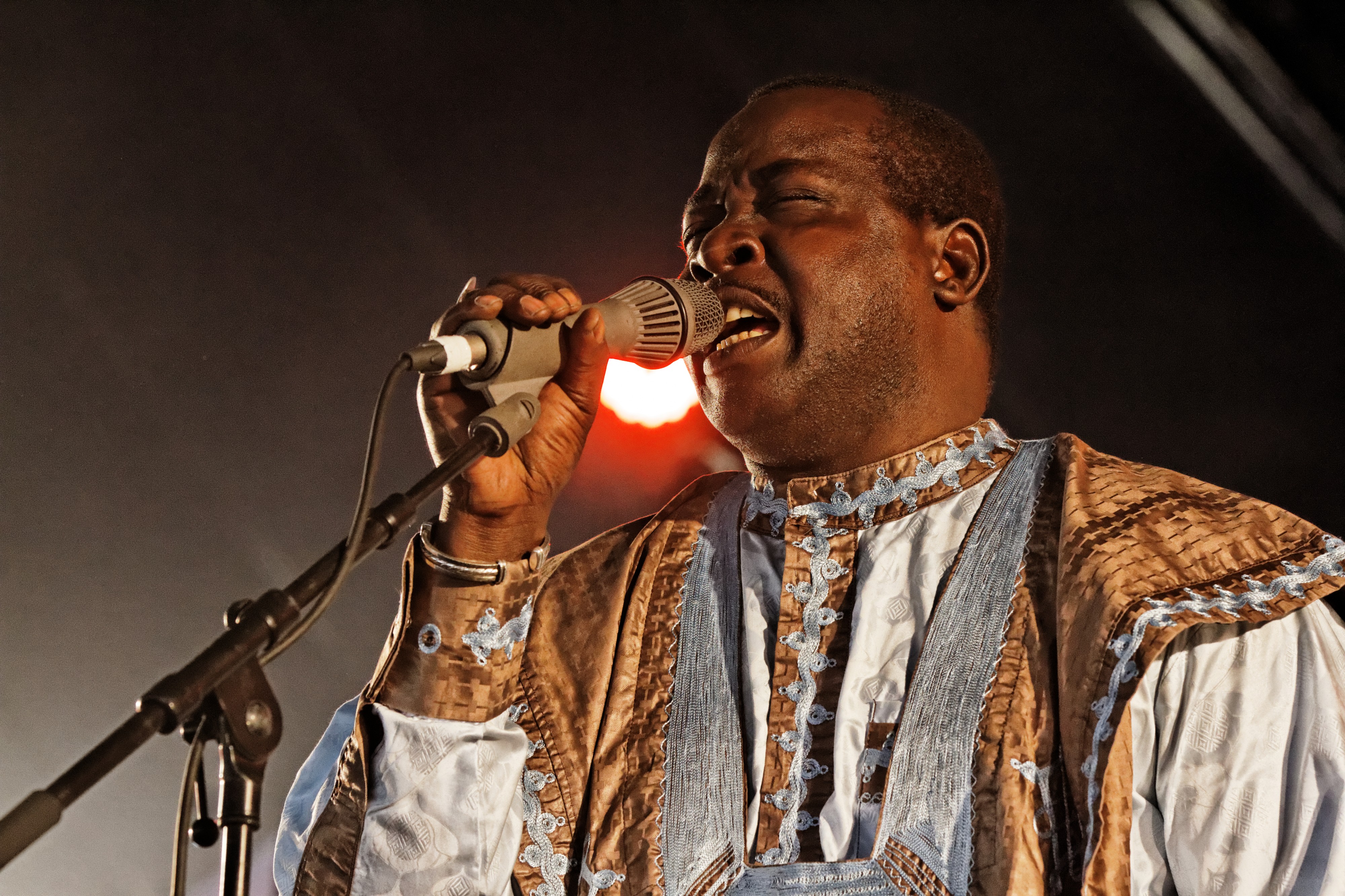 Mamar Kassey - Festival du Bout du Monde 2014 - 003