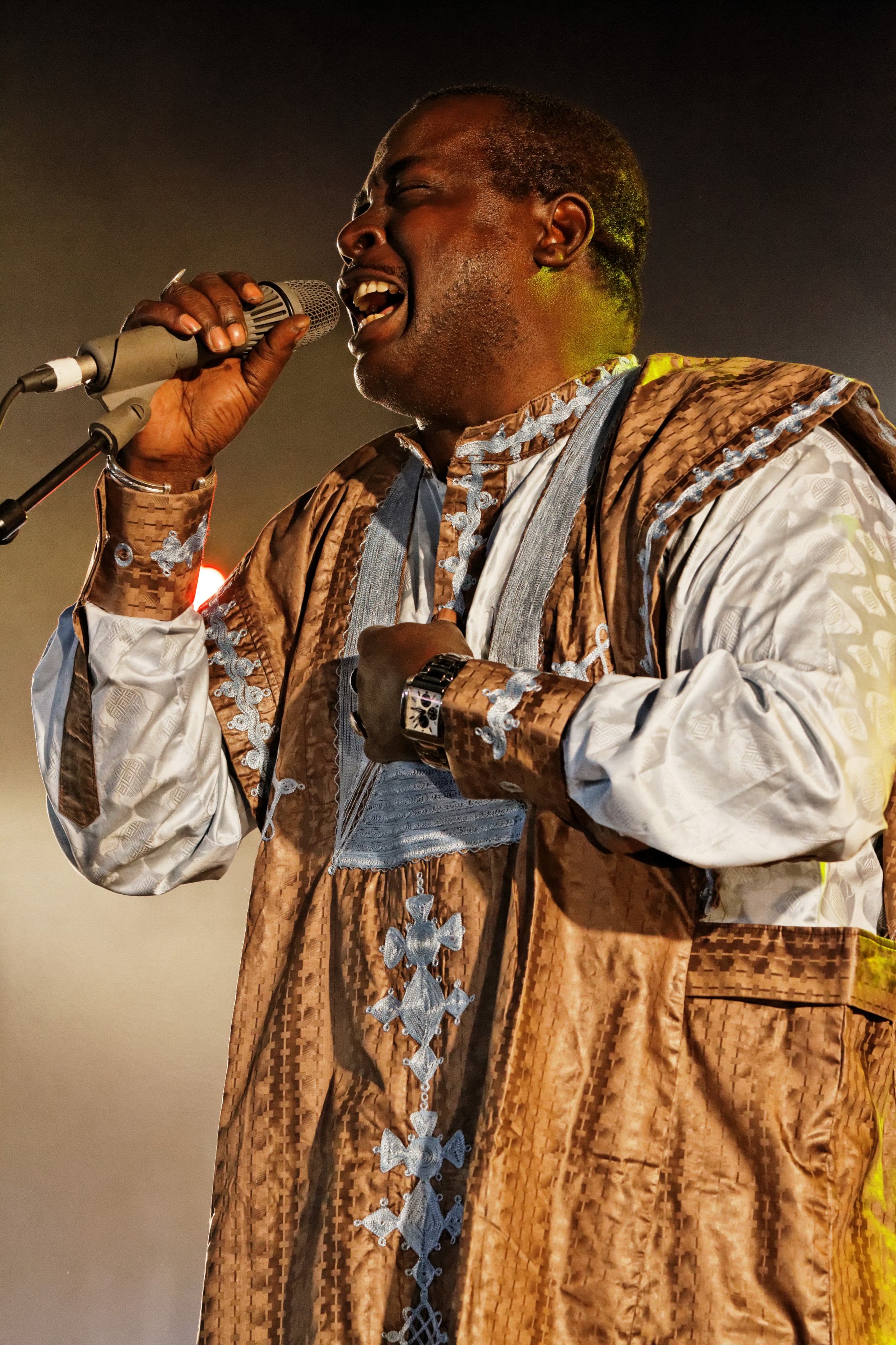 Mamar Kassey - Festival du Bout du Monde 2014 - 008
