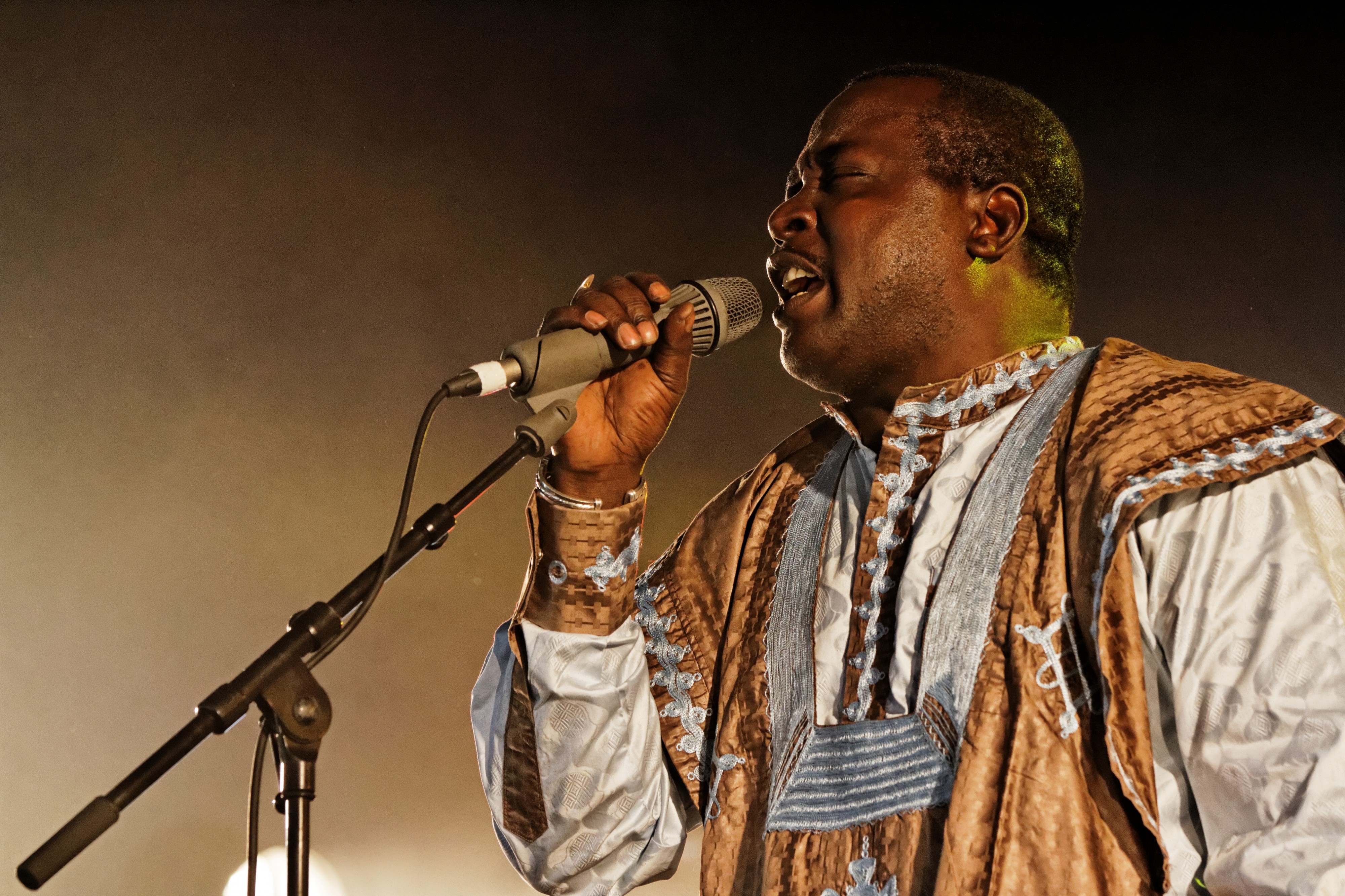 Mamar Kassey - Festival du Bout du Monde 2014 - 009