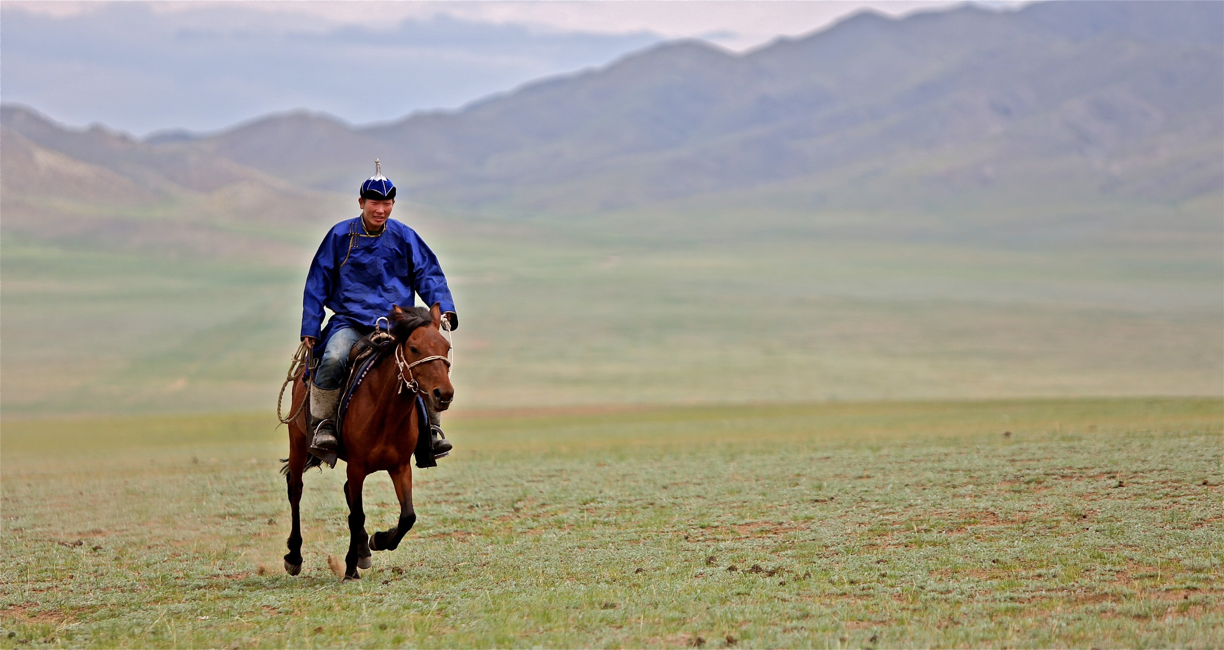 Rider in Mongolia, 2012