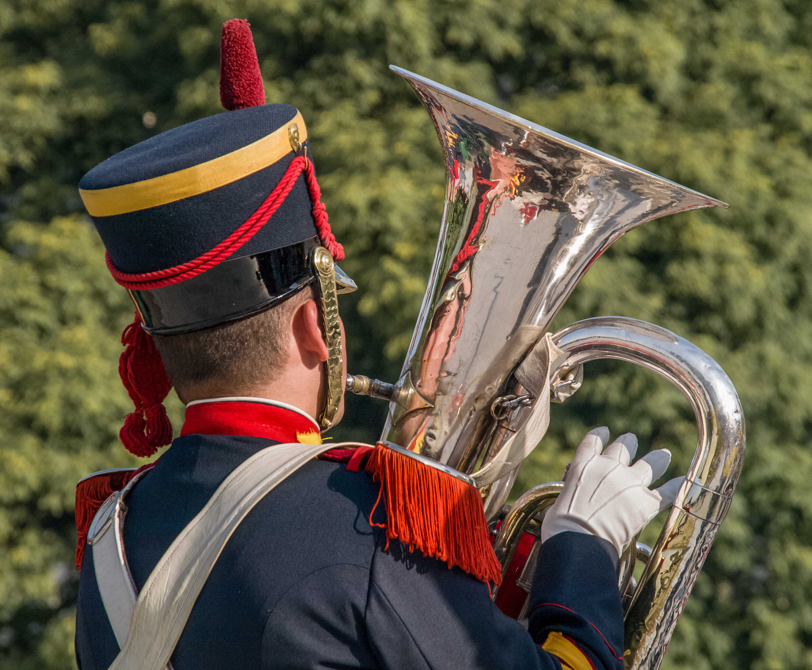 Tuba player in Buenos Aires 5092465