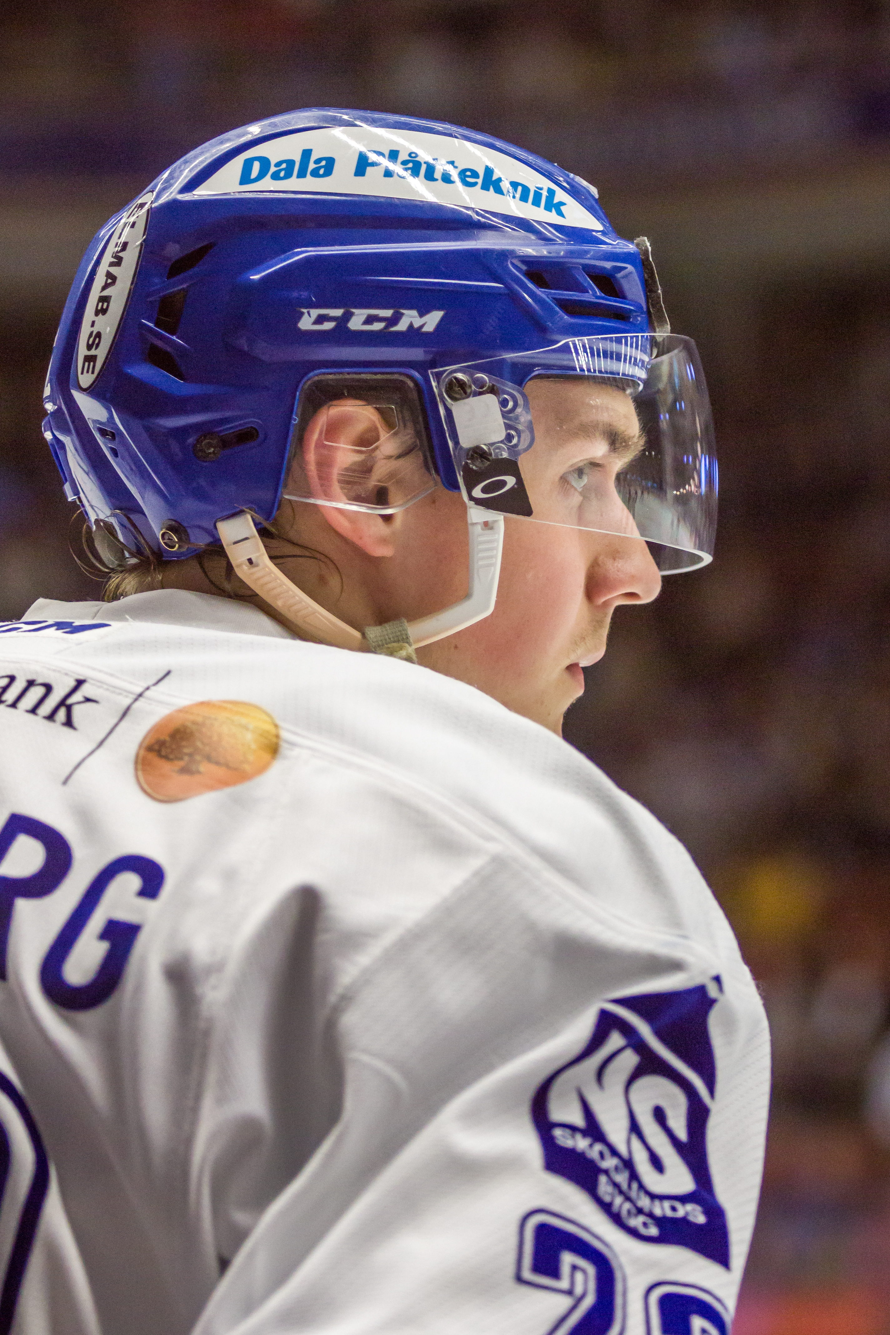 2015-03-21 Leksands IF–Malmö Redhawks Martin Grönberg 01