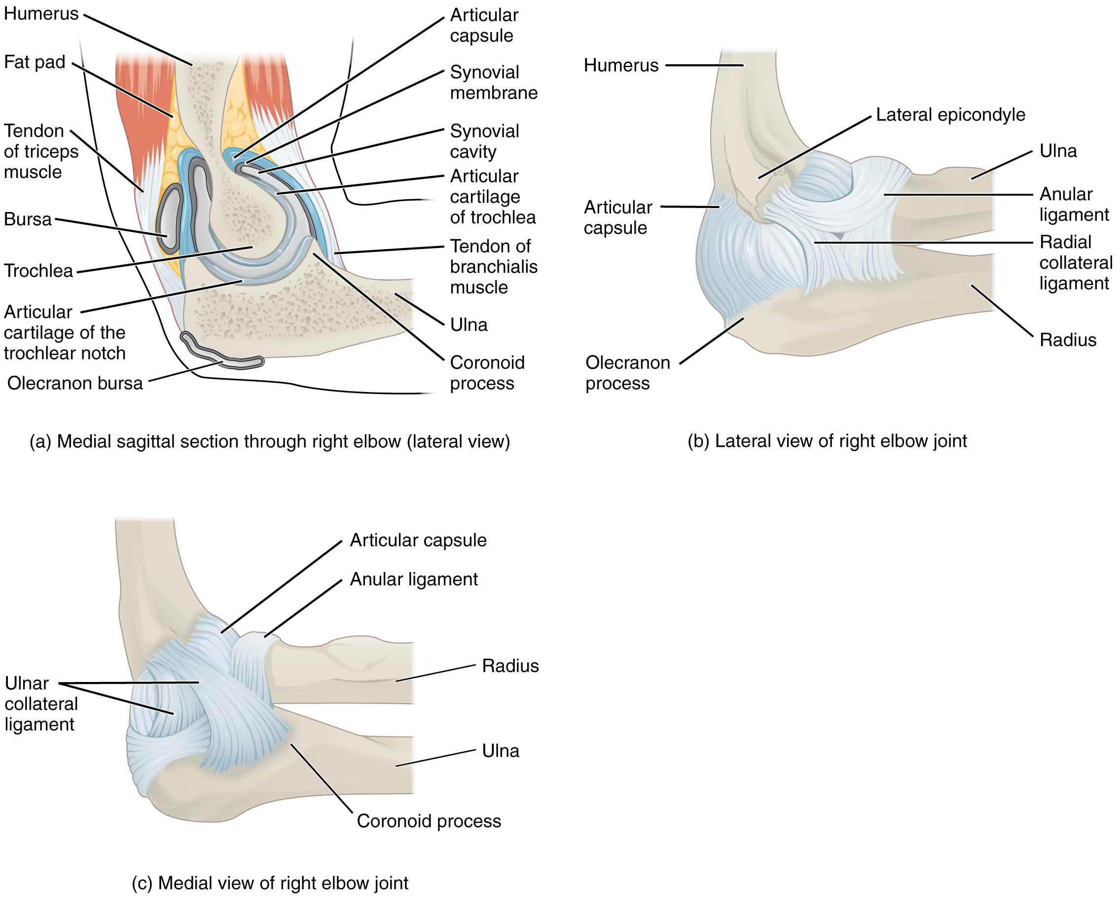 915 Elbow Joint