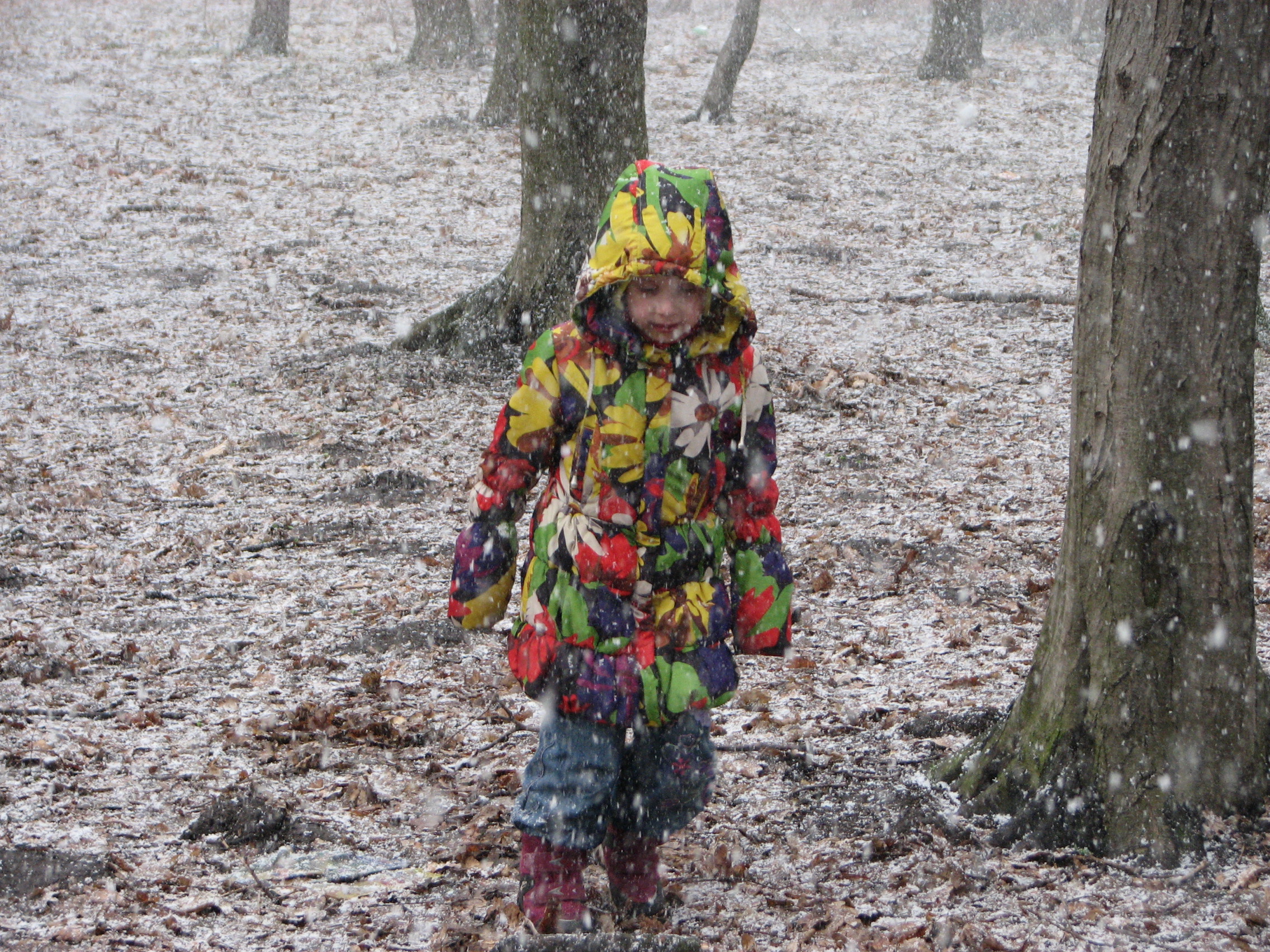 a child girl in a forest during a snowfall