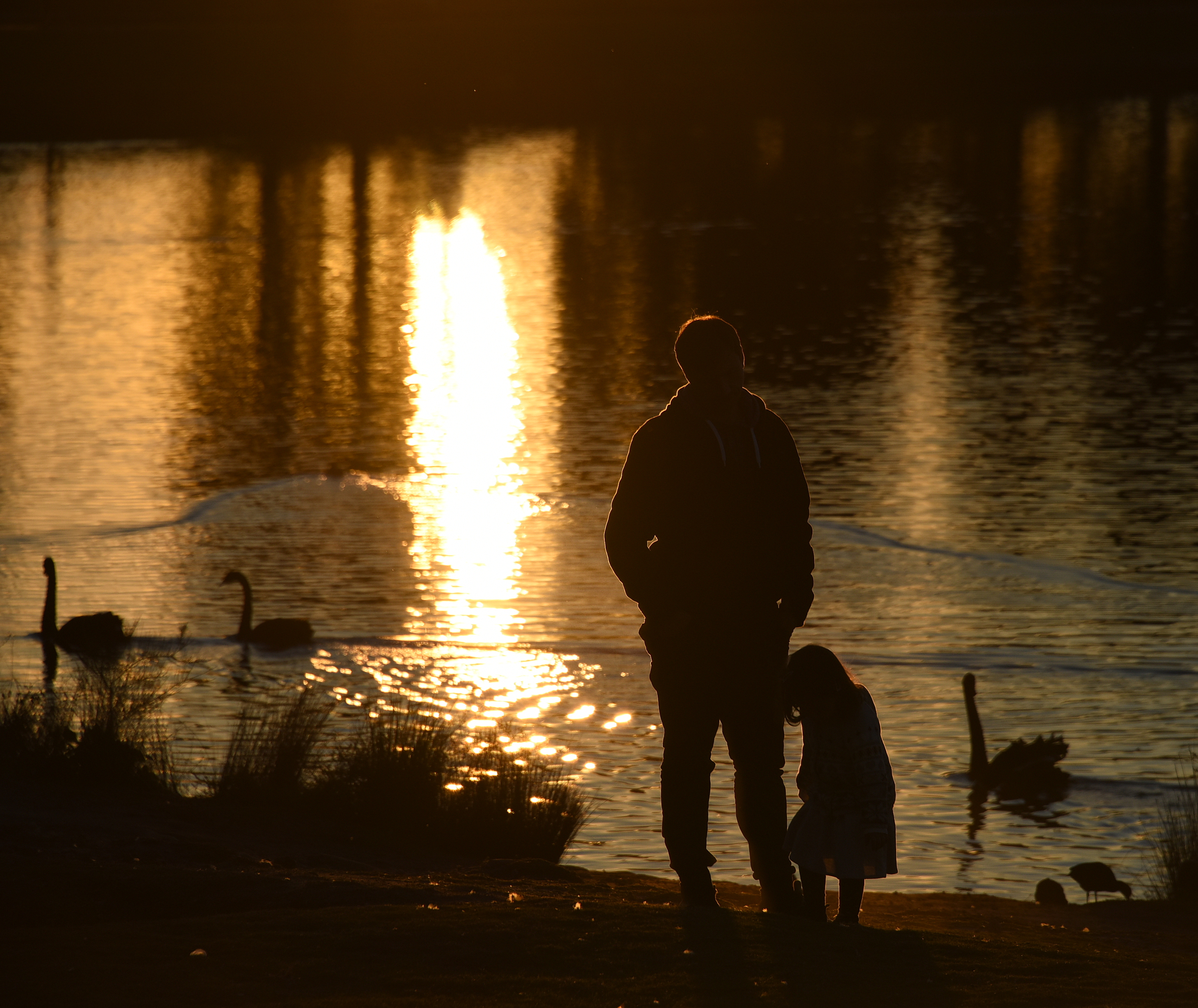 (1)Sunset 067