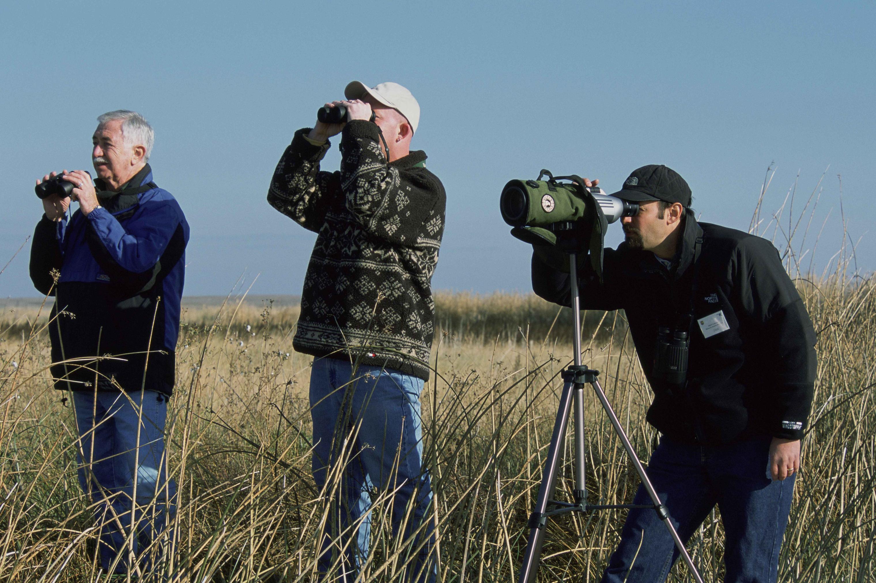 A group of men stand birdwatching
