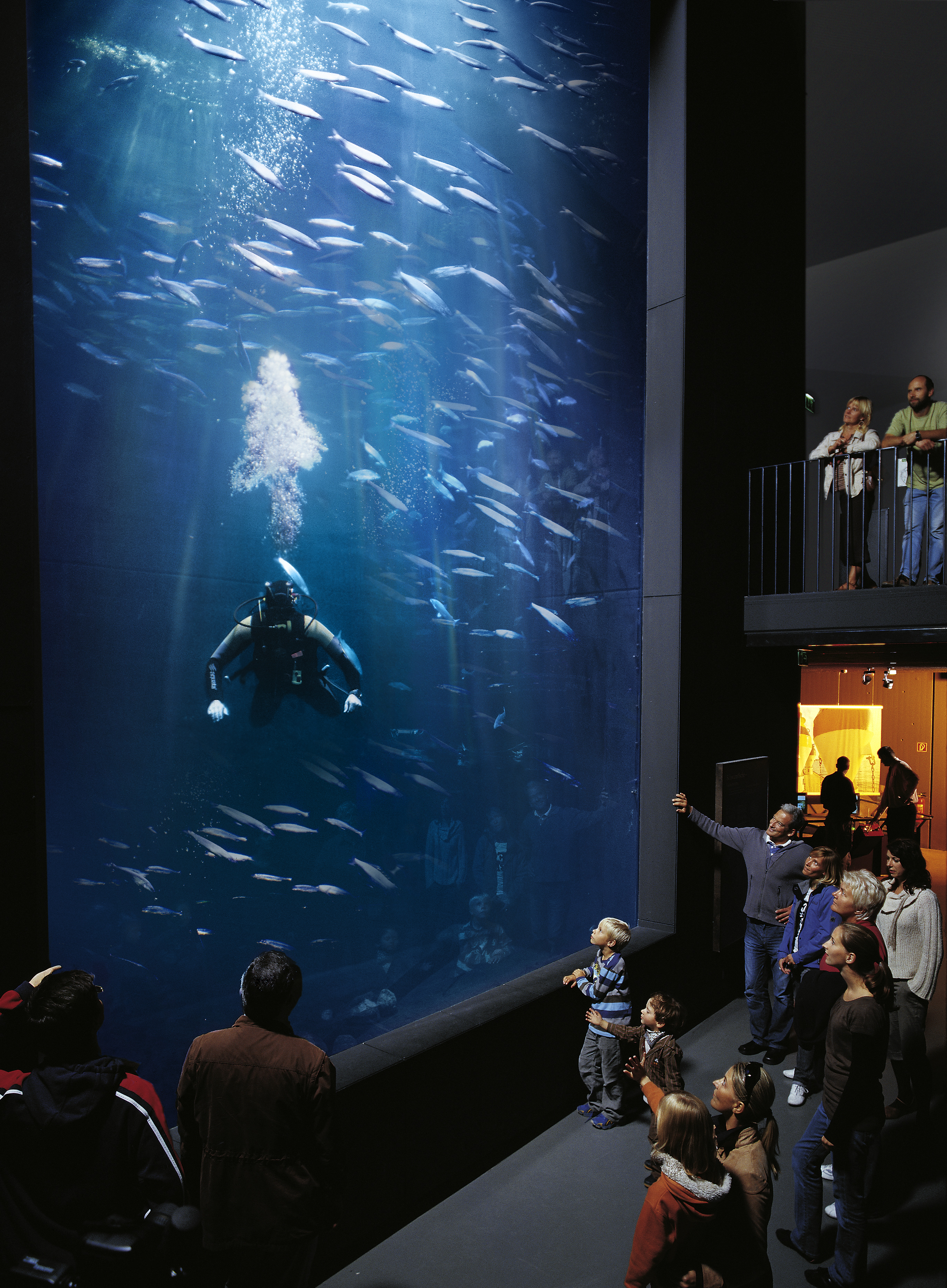 Aquarium Werk3-AndreasDuerst
