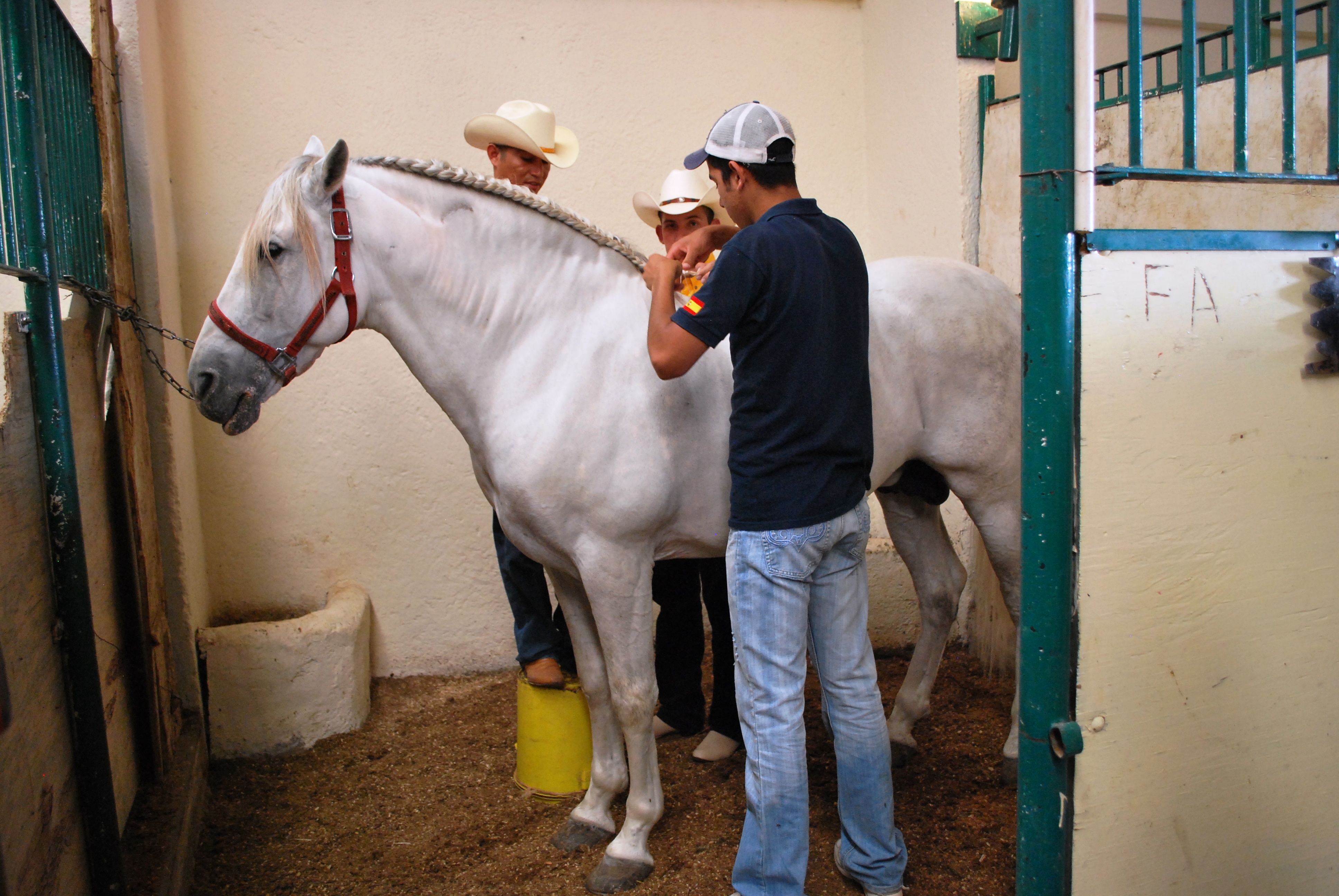 BraidManeCharroFeria09