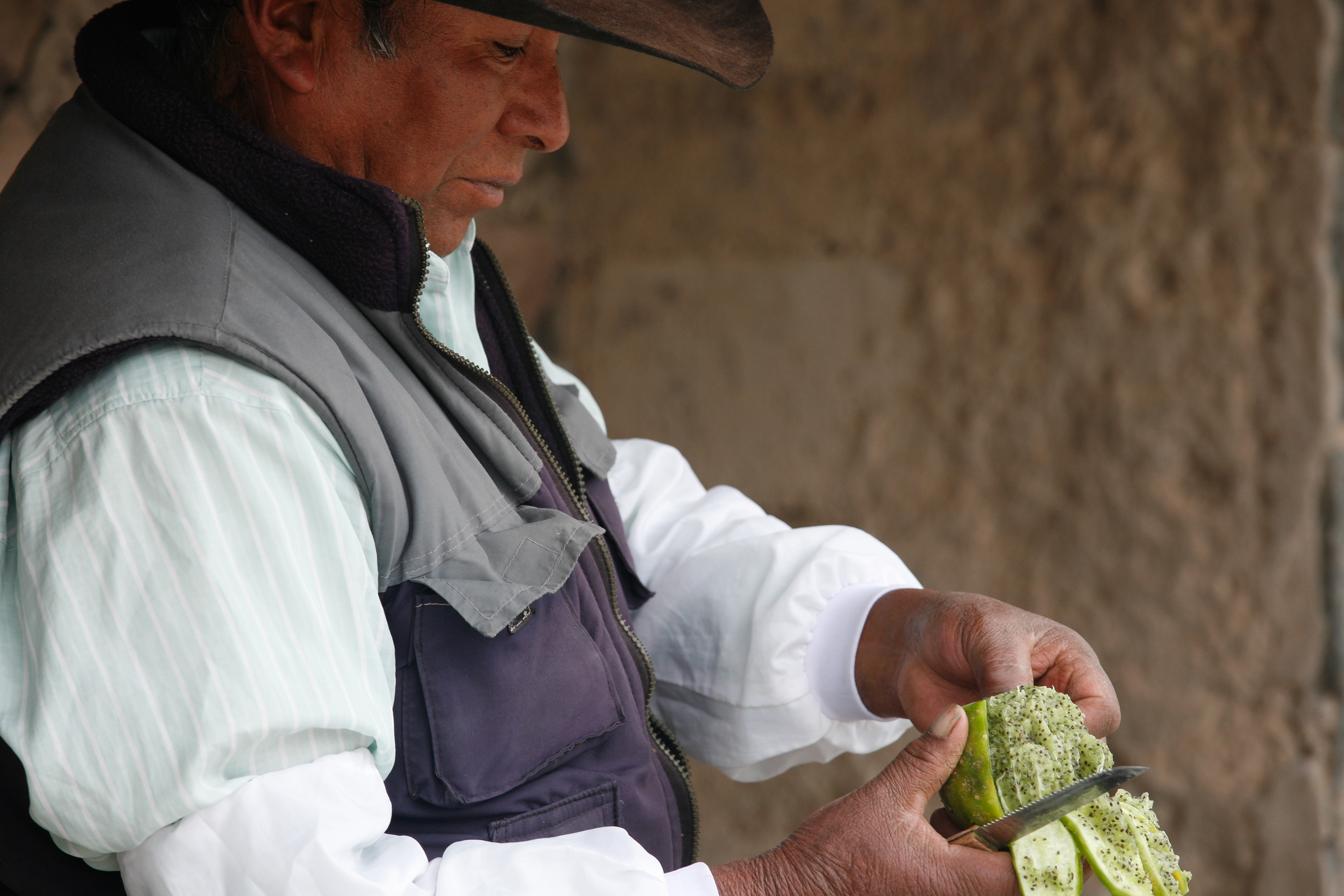 Cactus Fruit - Village of Maca (8447822330)
