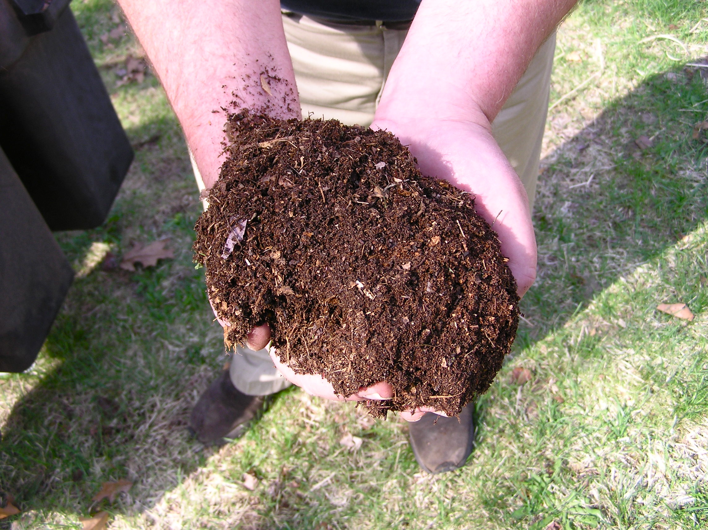 Compost-dirt