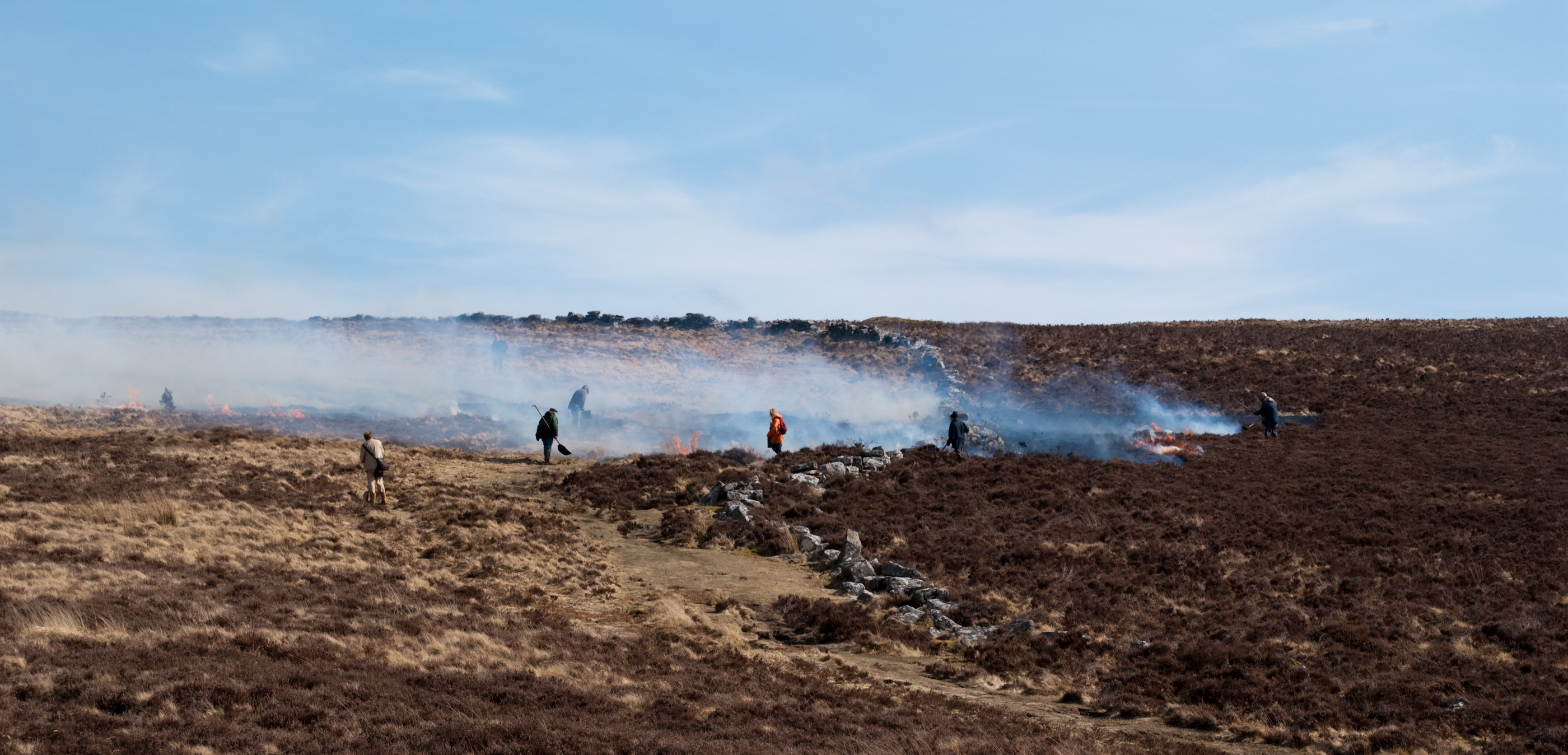 Controlling gorse on Dartmoor 755