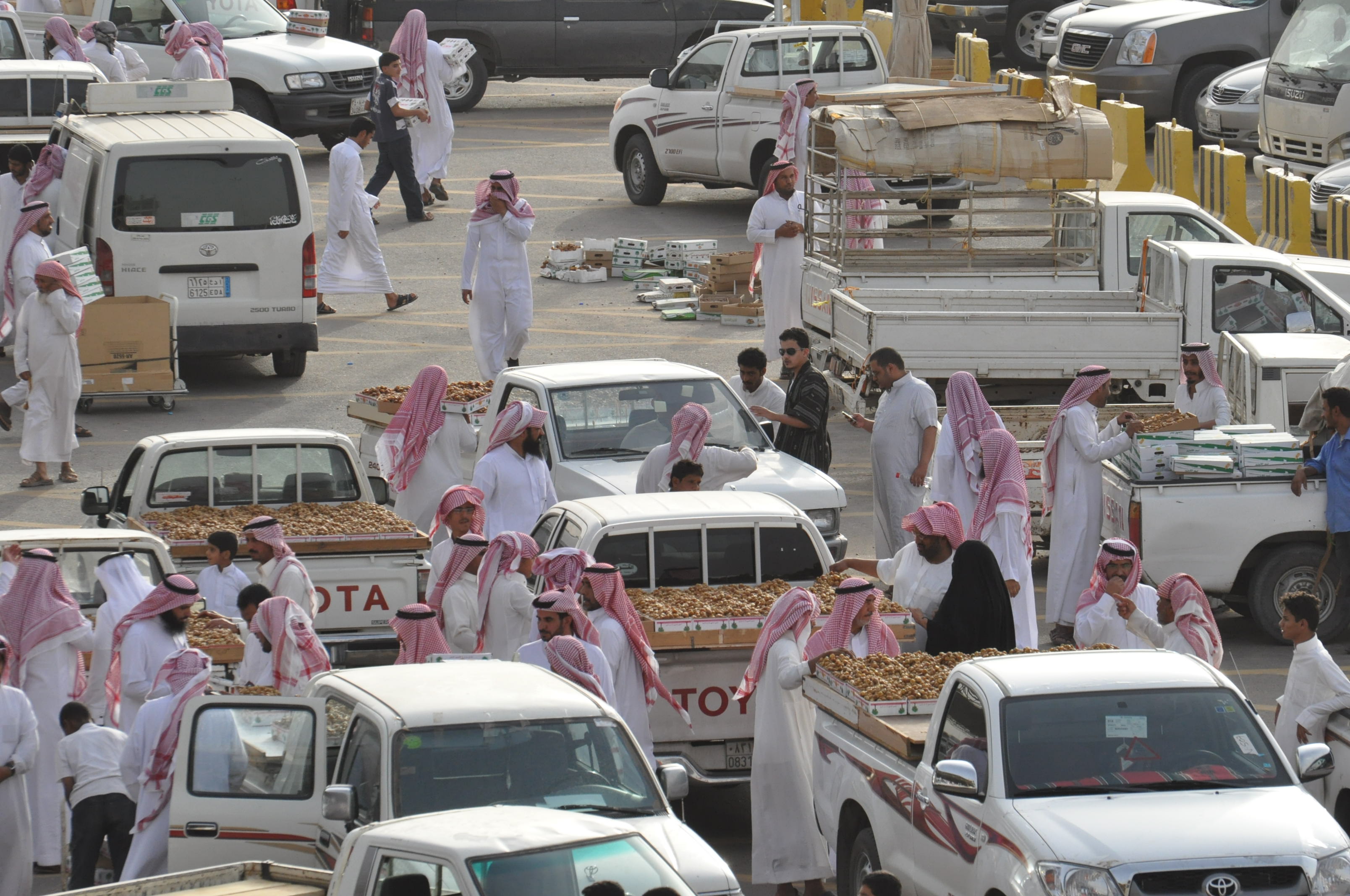 Date City in Buraidah 2