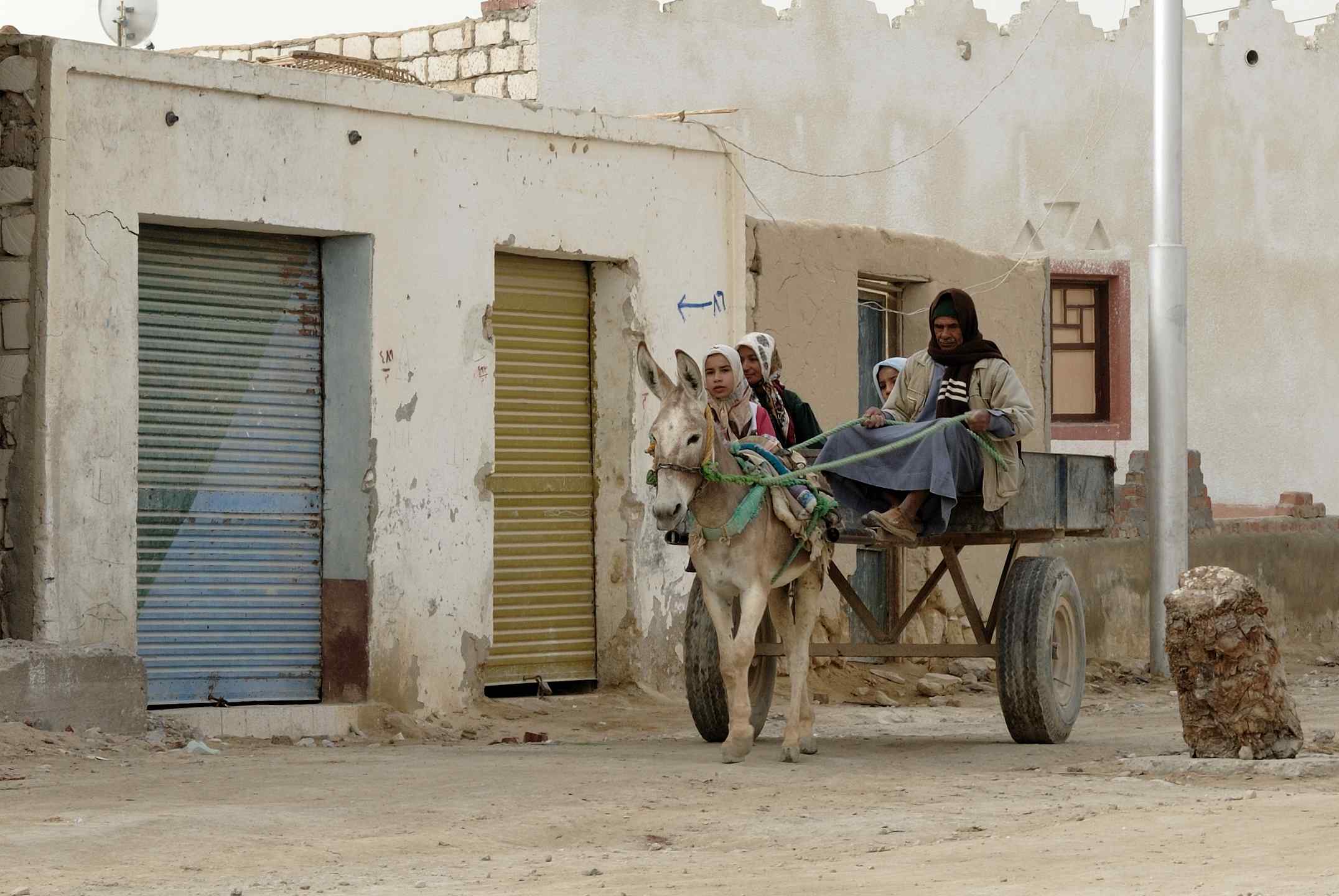 Egypt (4000566023)
