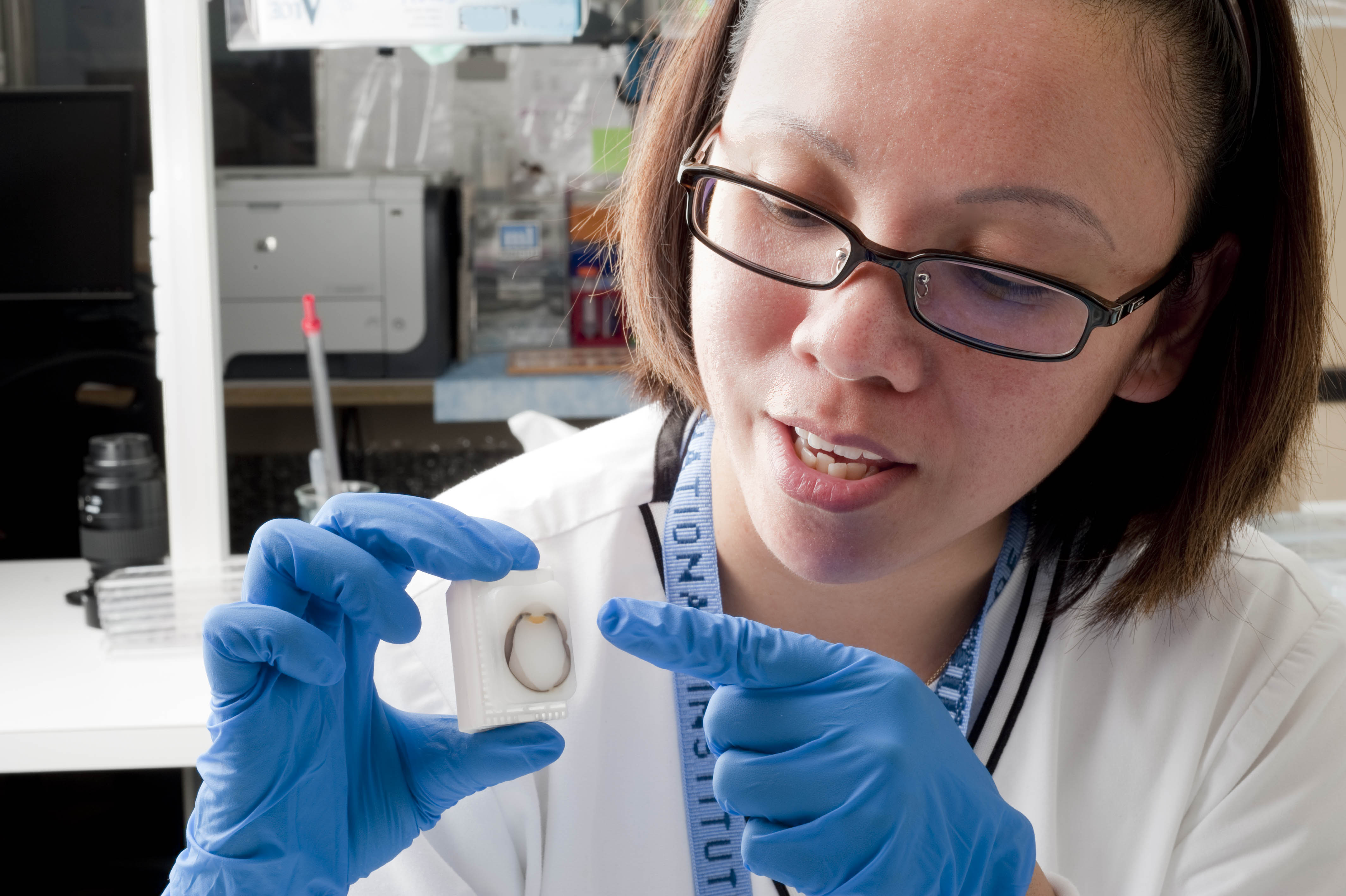 Eye Disease Research (9955412483)