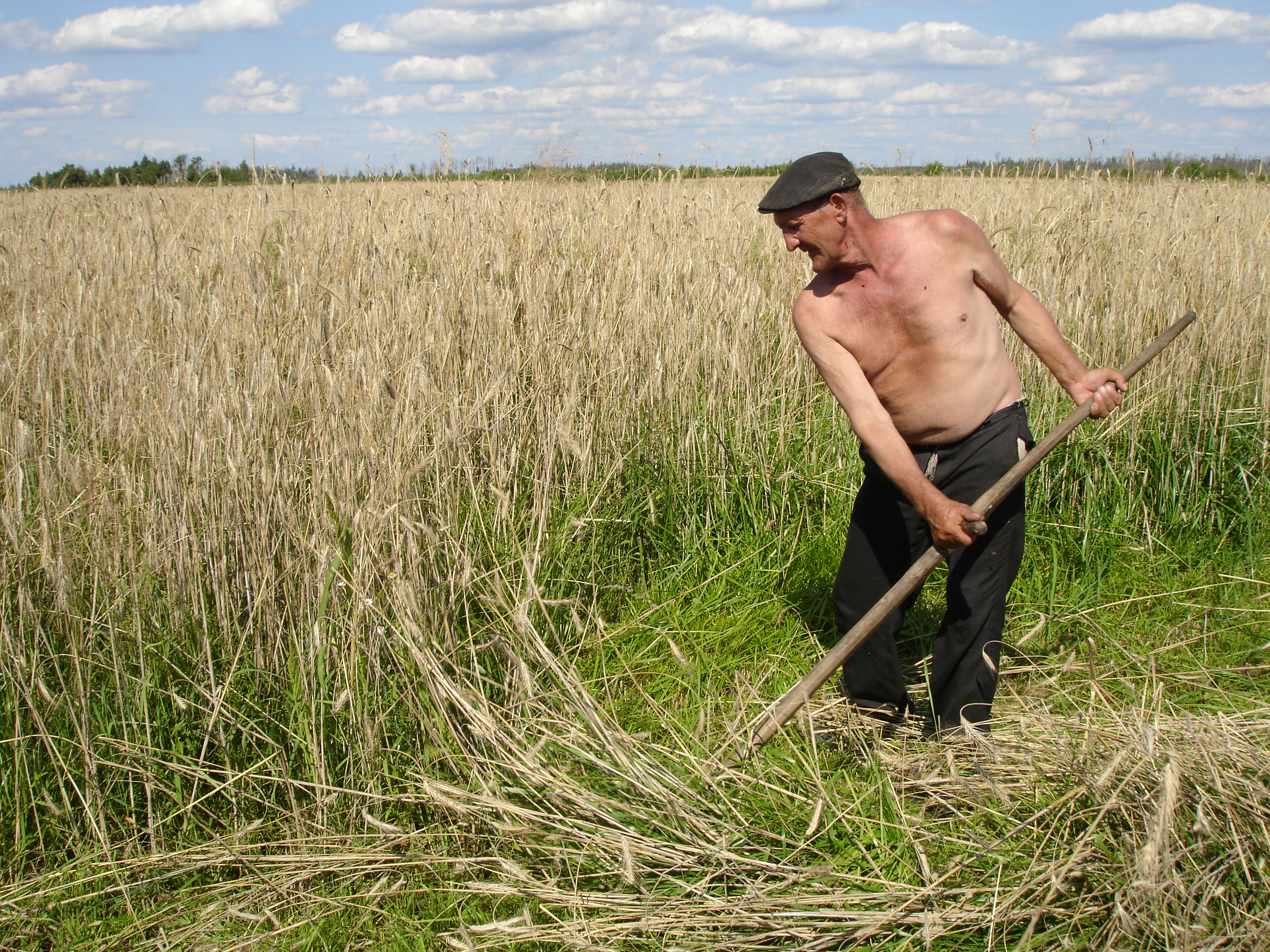 Farmer in Jelno, near Chernobyl (02710046)