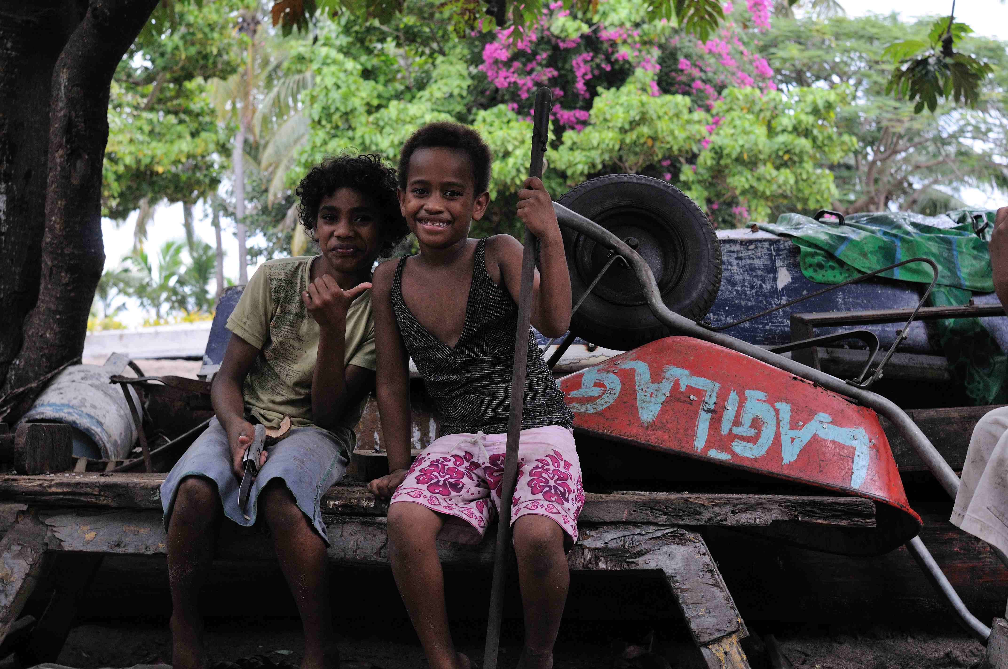 Fiji (4047726810)
