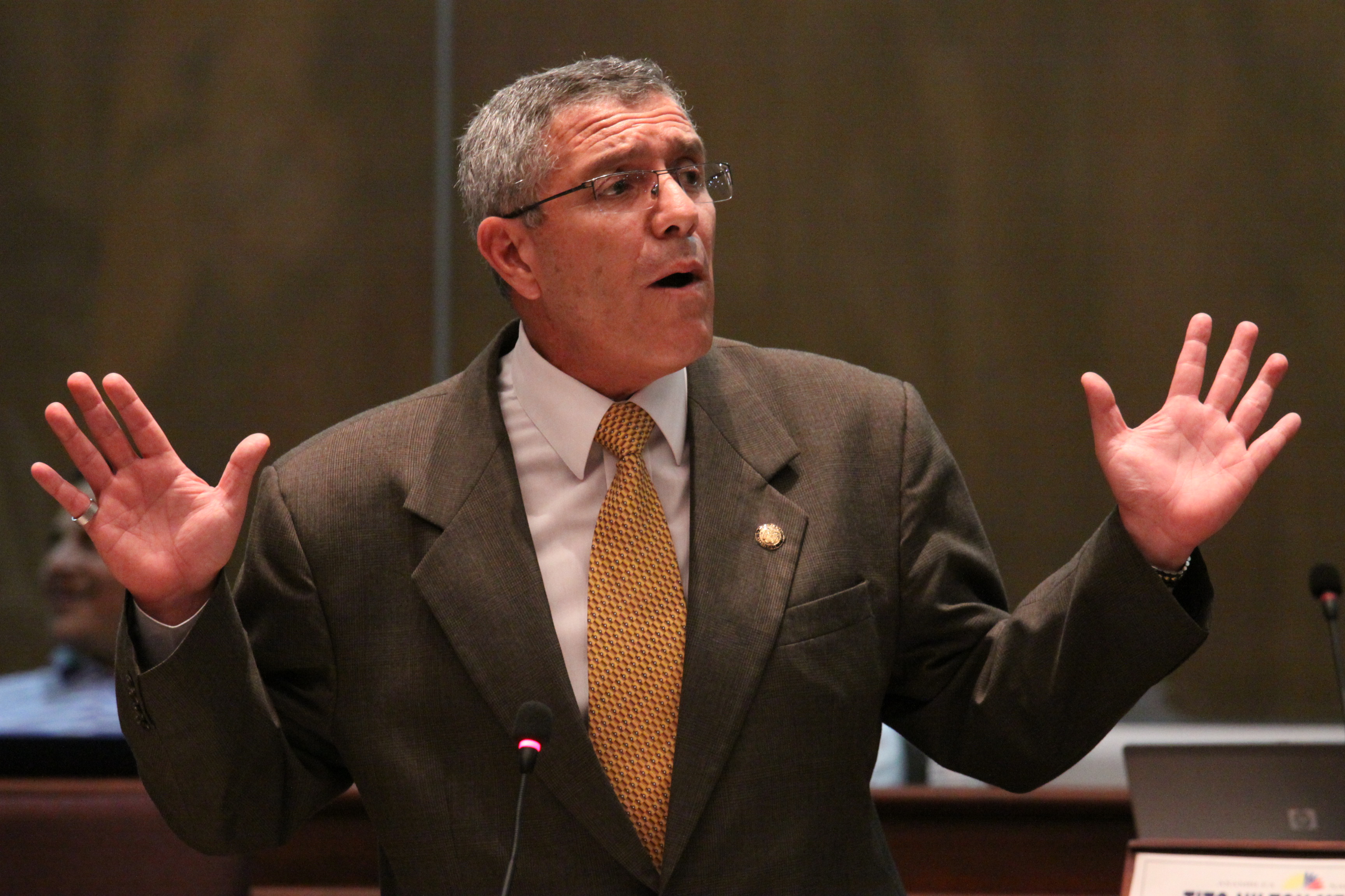 Foto- Hugo Ortiz Ron - Asamblea Nacional (5704728875)
