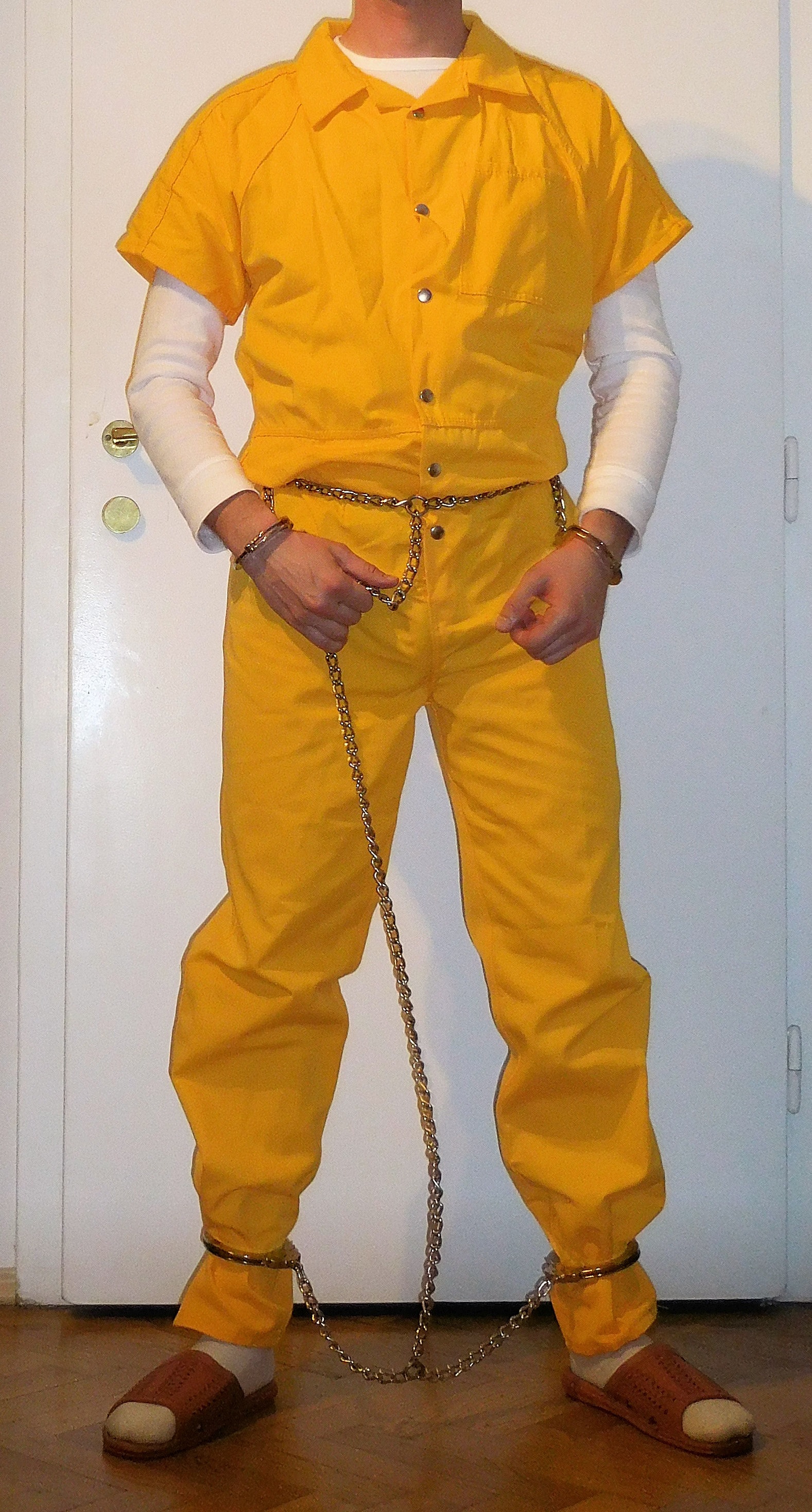 Full harness 1