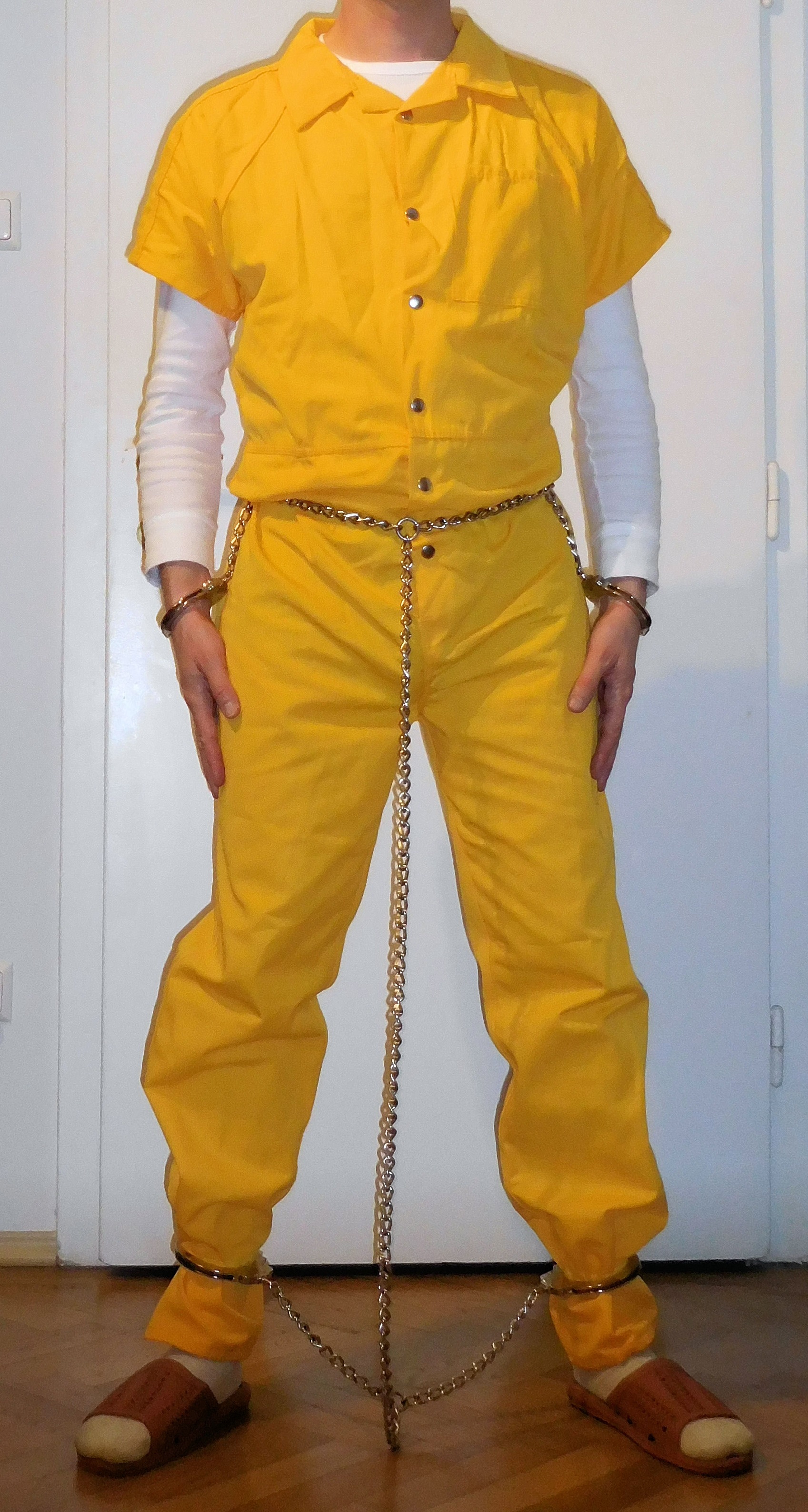 Full harness 2