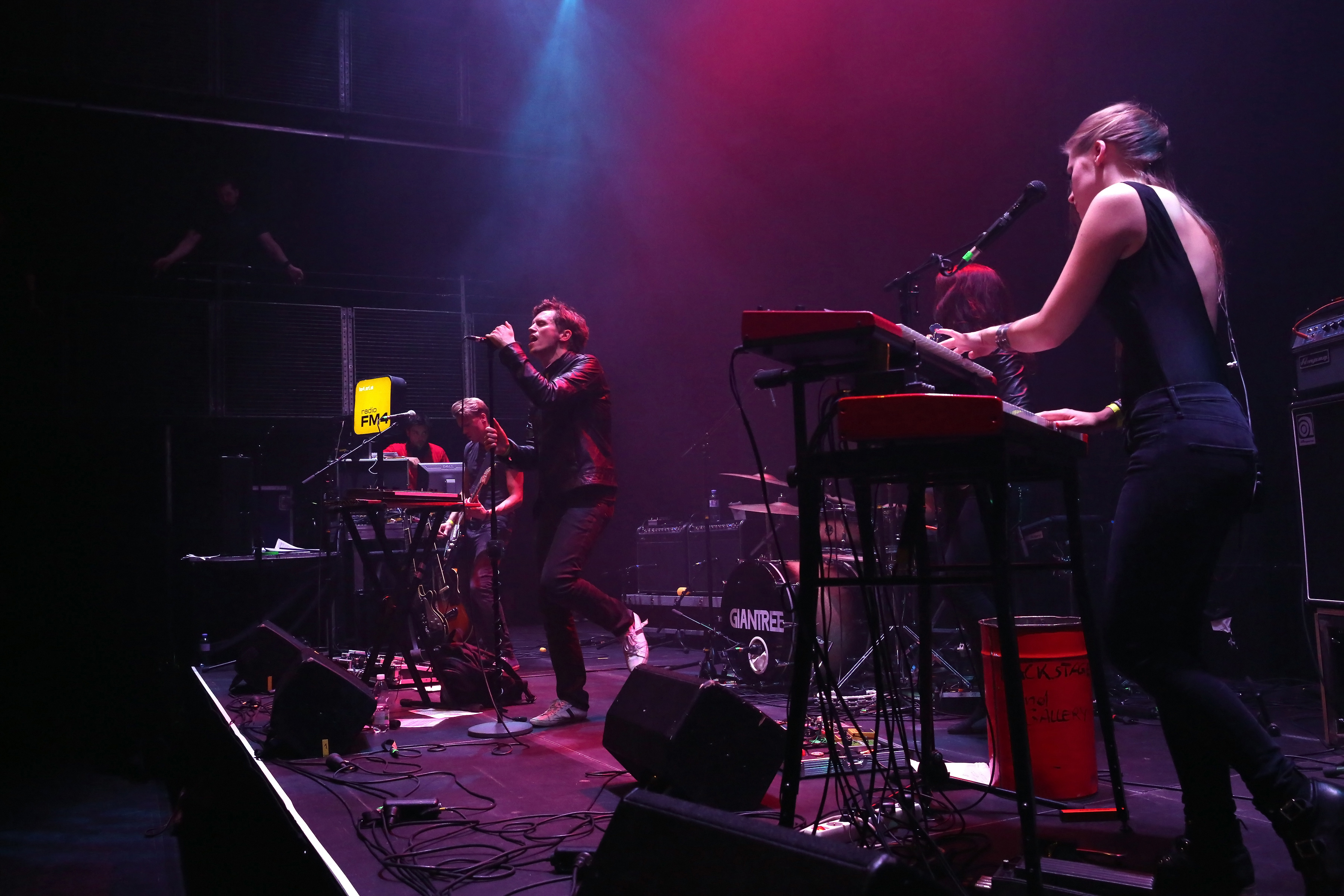 Giantree - Waves Vienna 2014 c