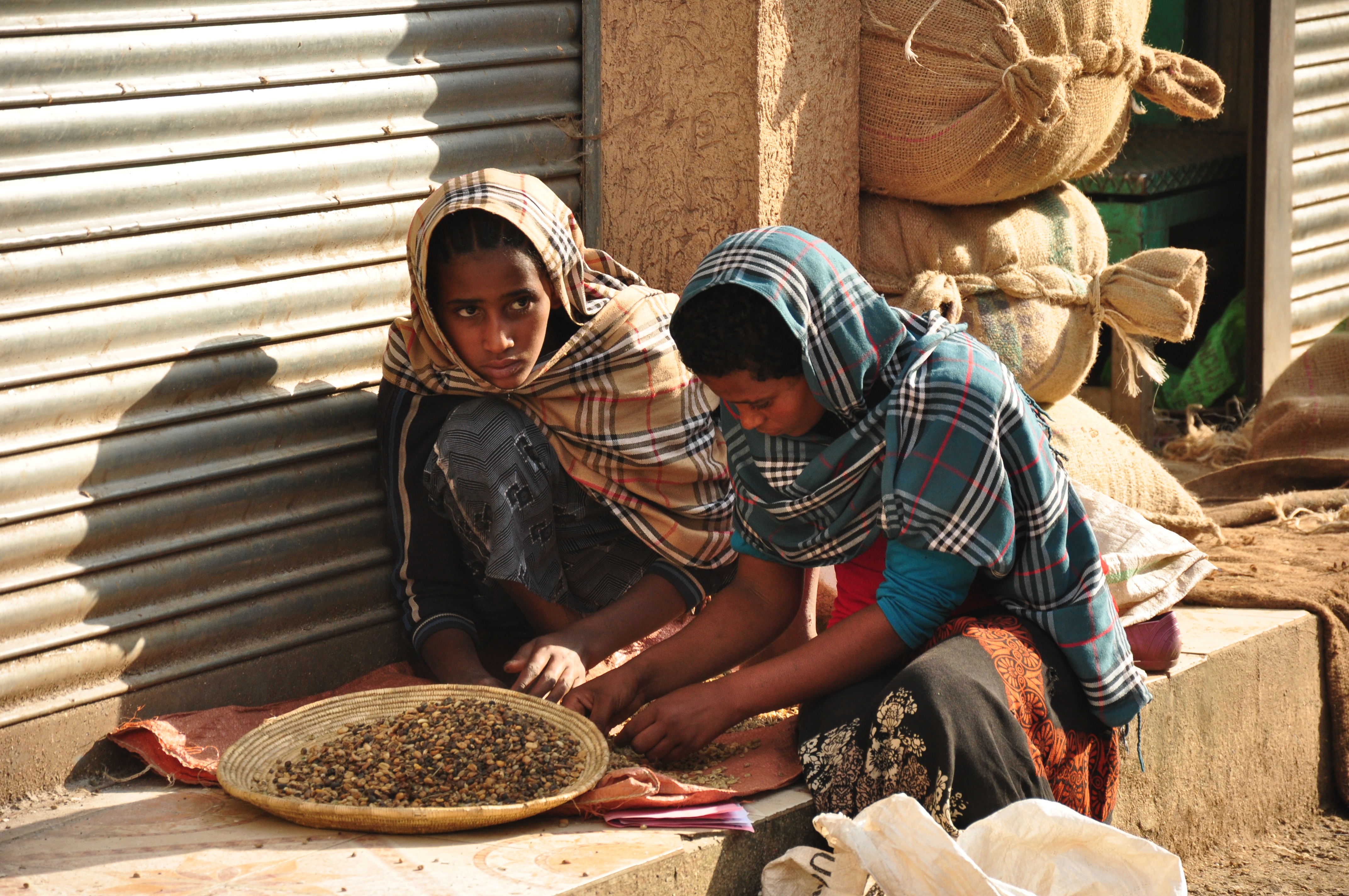 Girls cleaning coffee