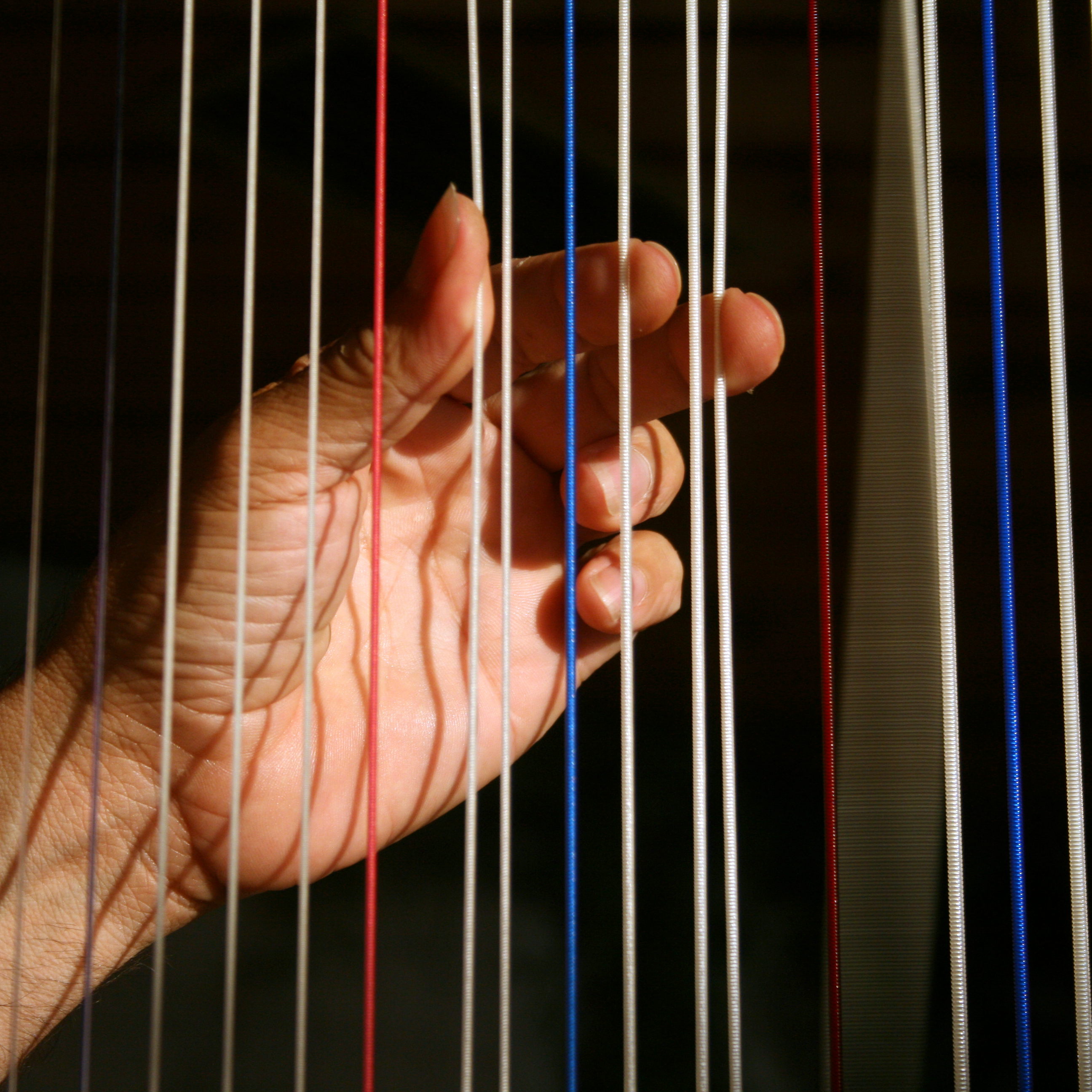 Harpist hands img 4997-b
