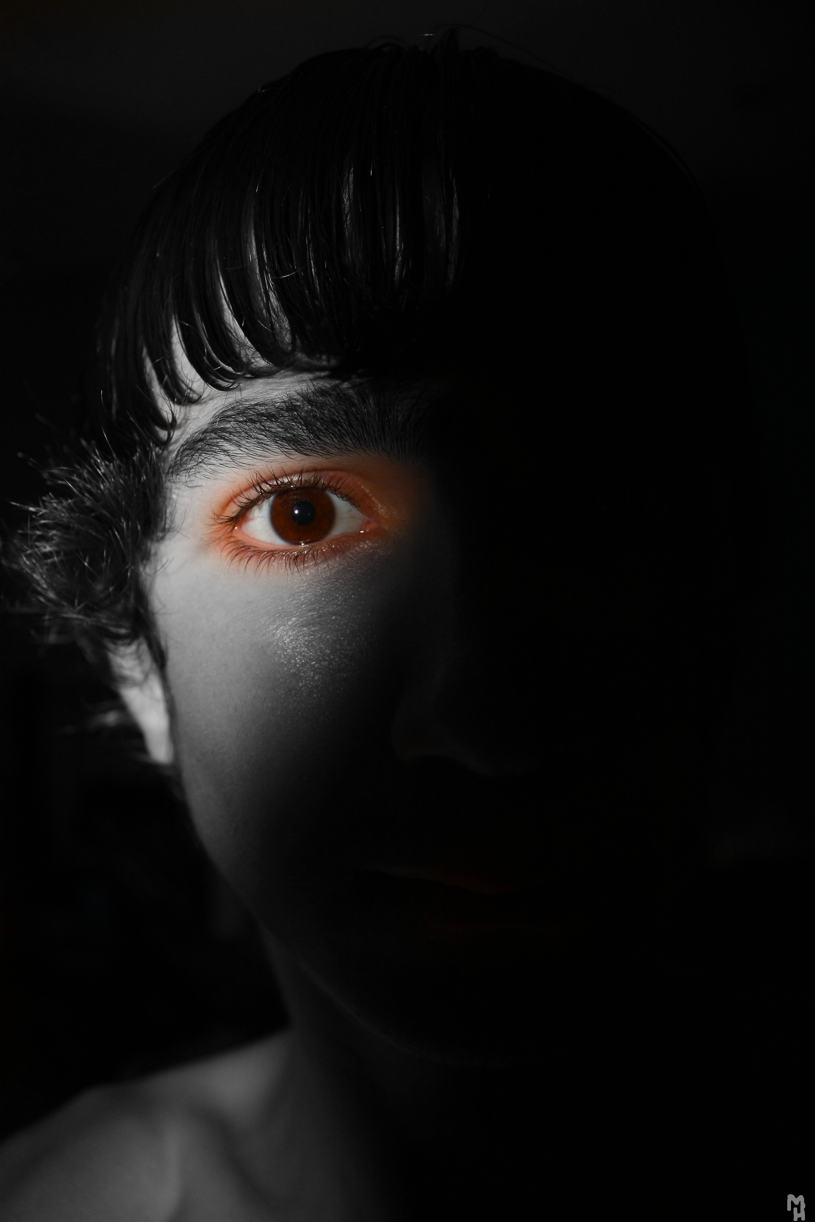 Hiding in the darkness (3443966860)