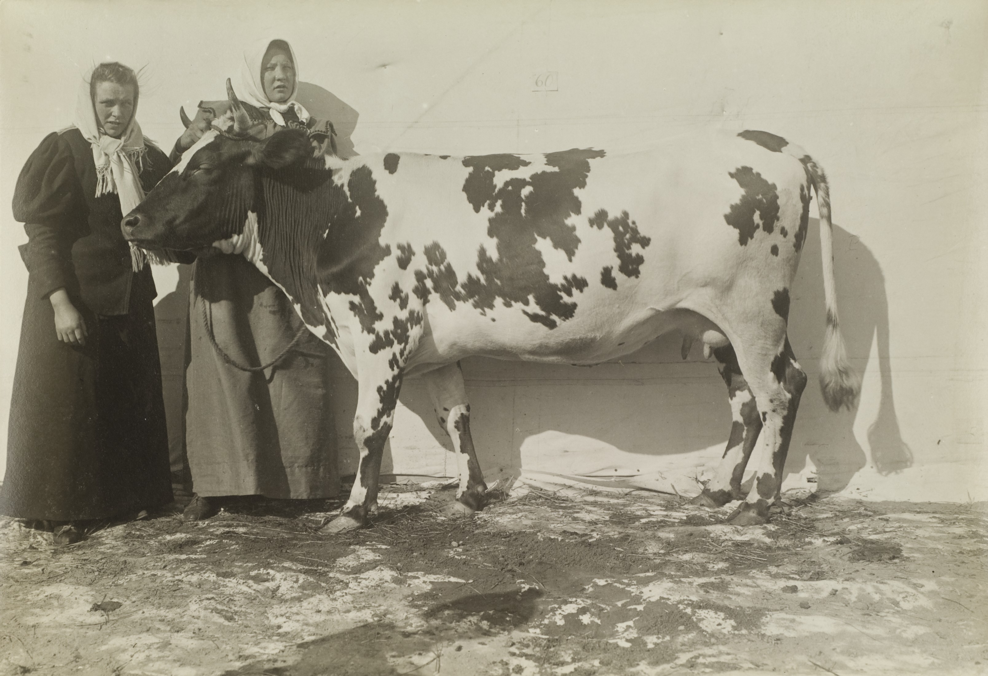 I.K Inha Finnish Agriculture D2000 48 242