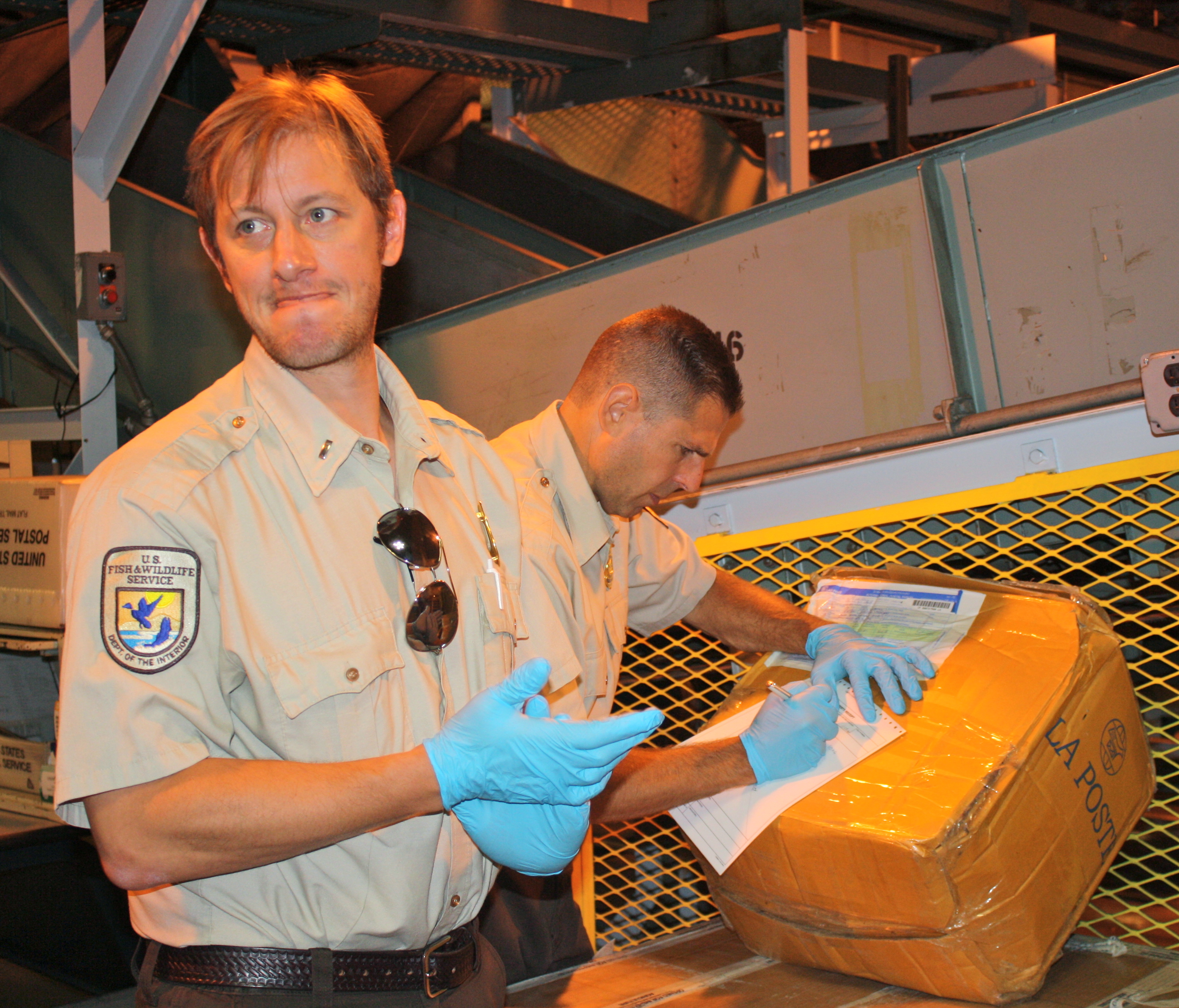 Inspecting a shipment at the U.S. Postal Service facility in ELizabeth, N.J. (6103515009)