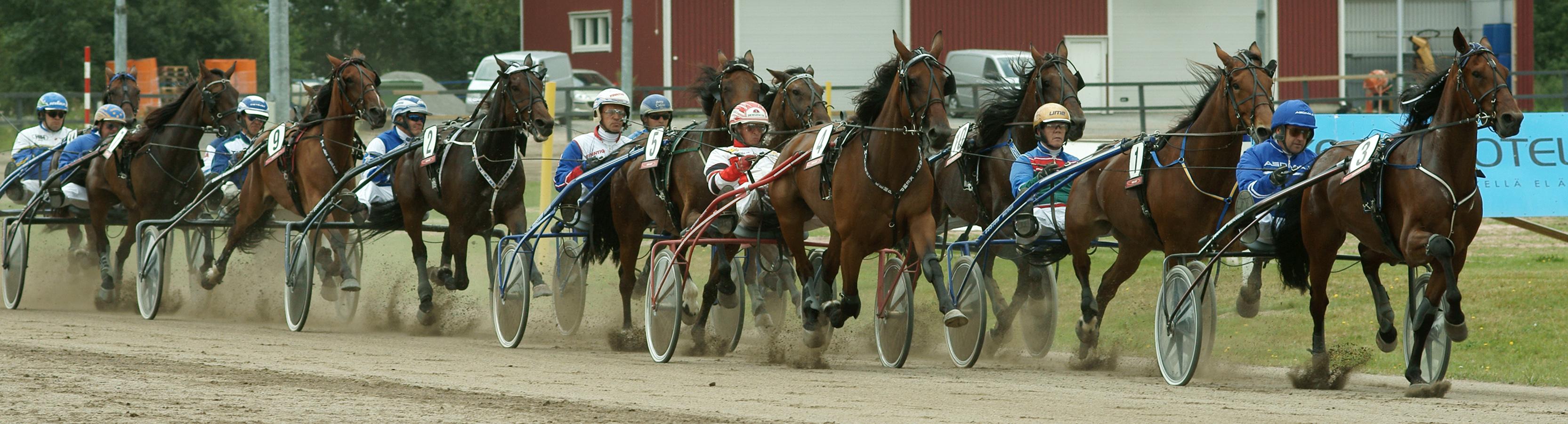 Lähtö 5 Porin raviradalla 6. elokuuta 2011