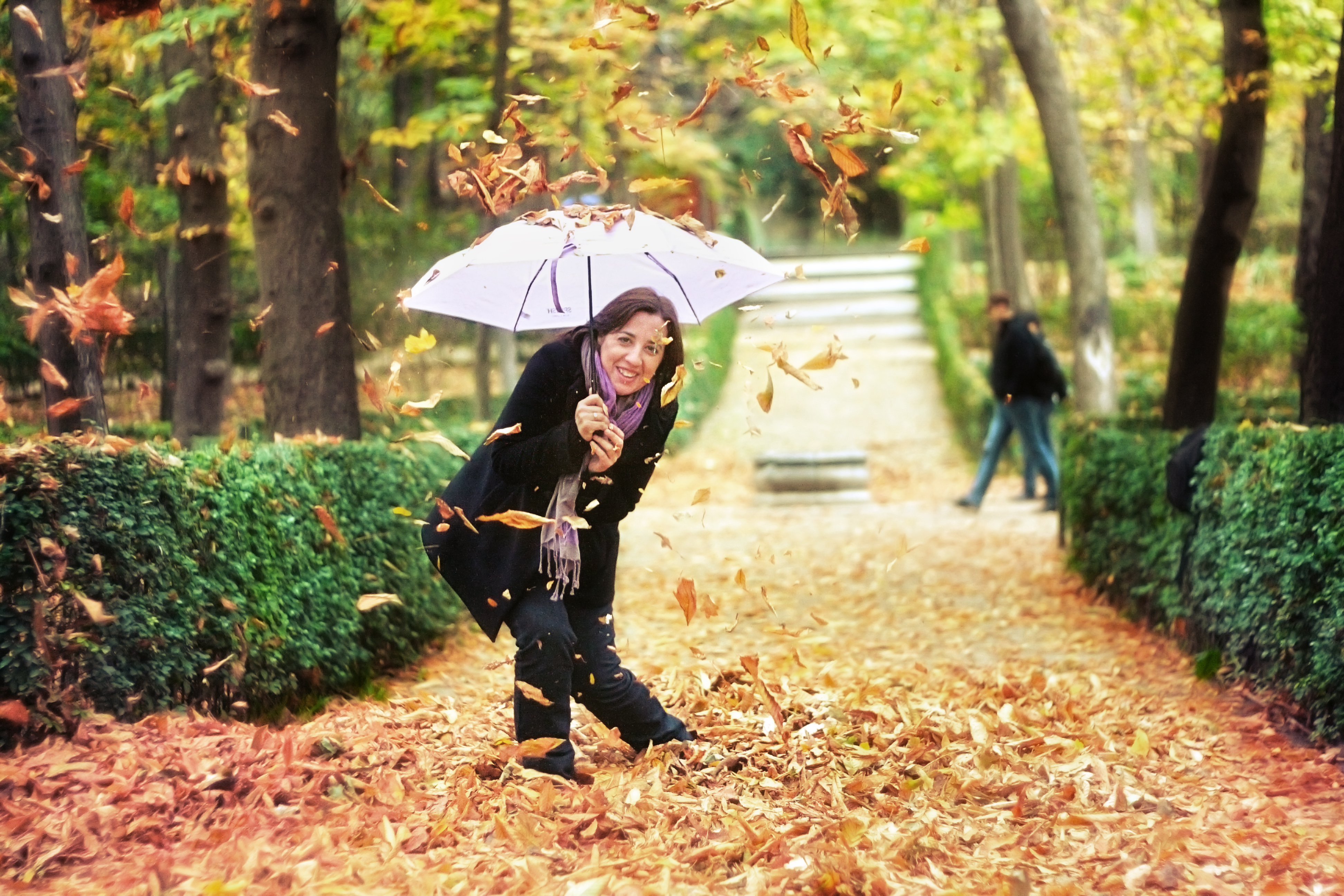 Lluvia de hojas (9345602830)