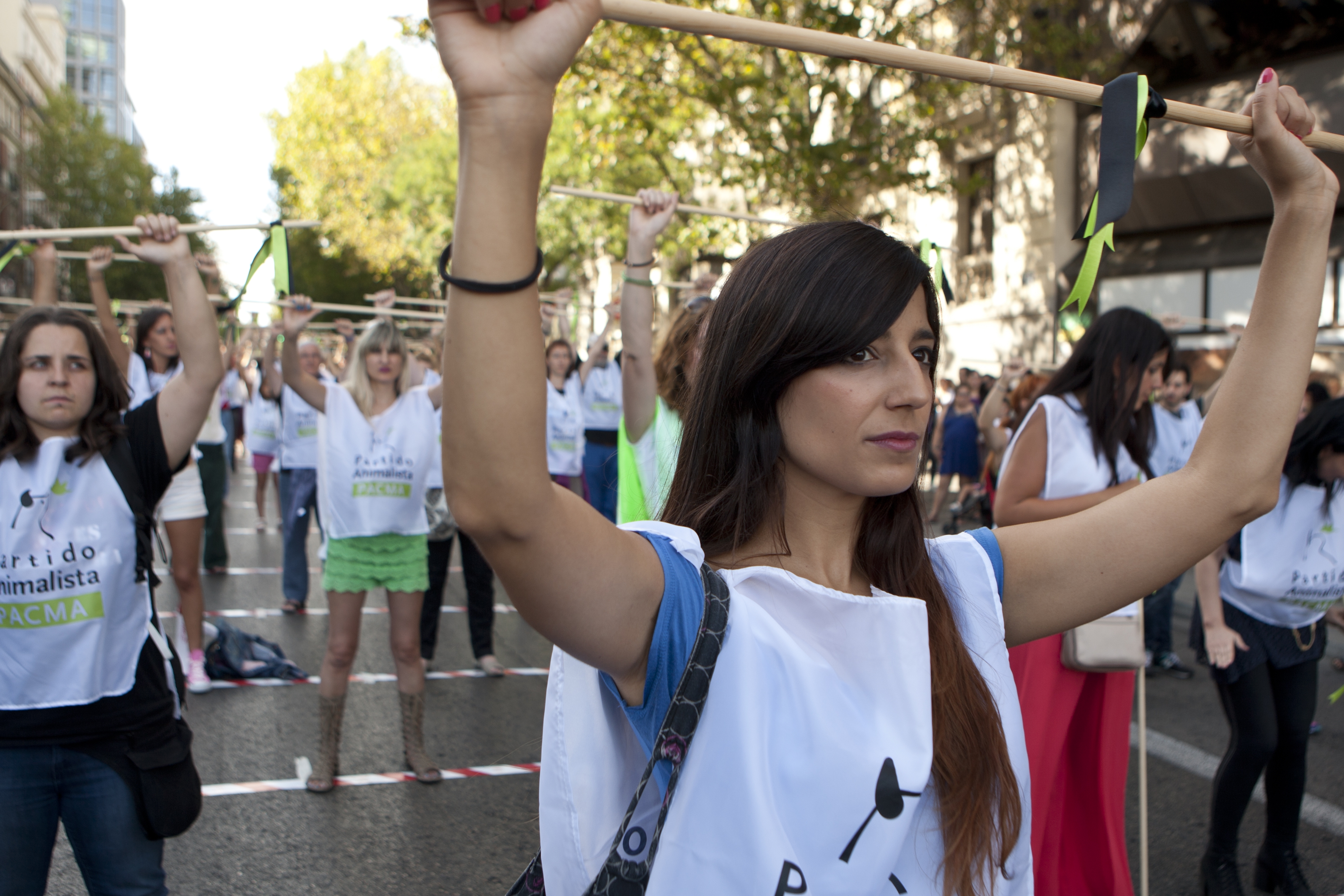Manifestación contra el Toro de la Vega. Rompe una Lanza 2014 (55)