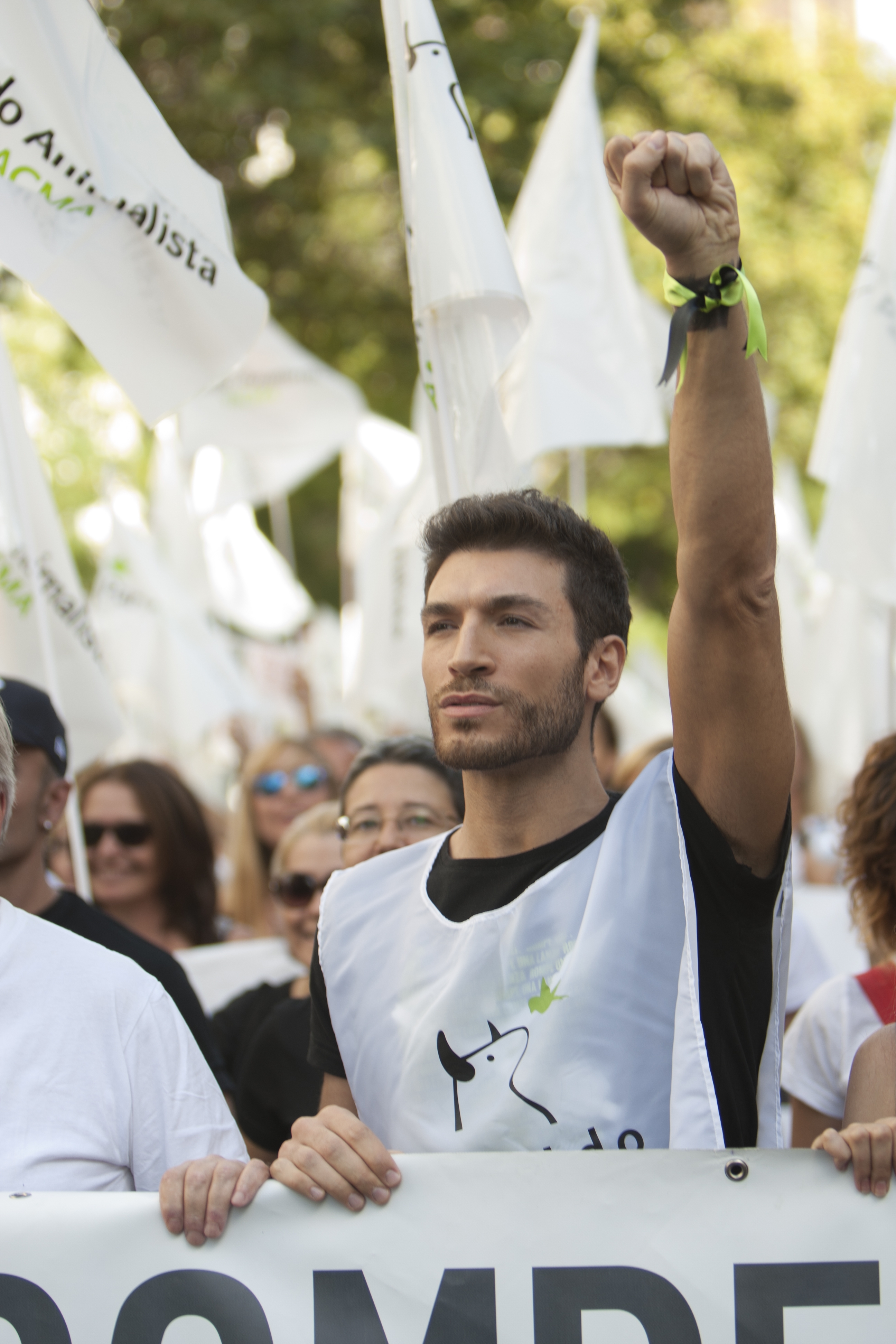 Manifestación contra el Toro de la Vega. Rompe una Lanza 2014 (64)