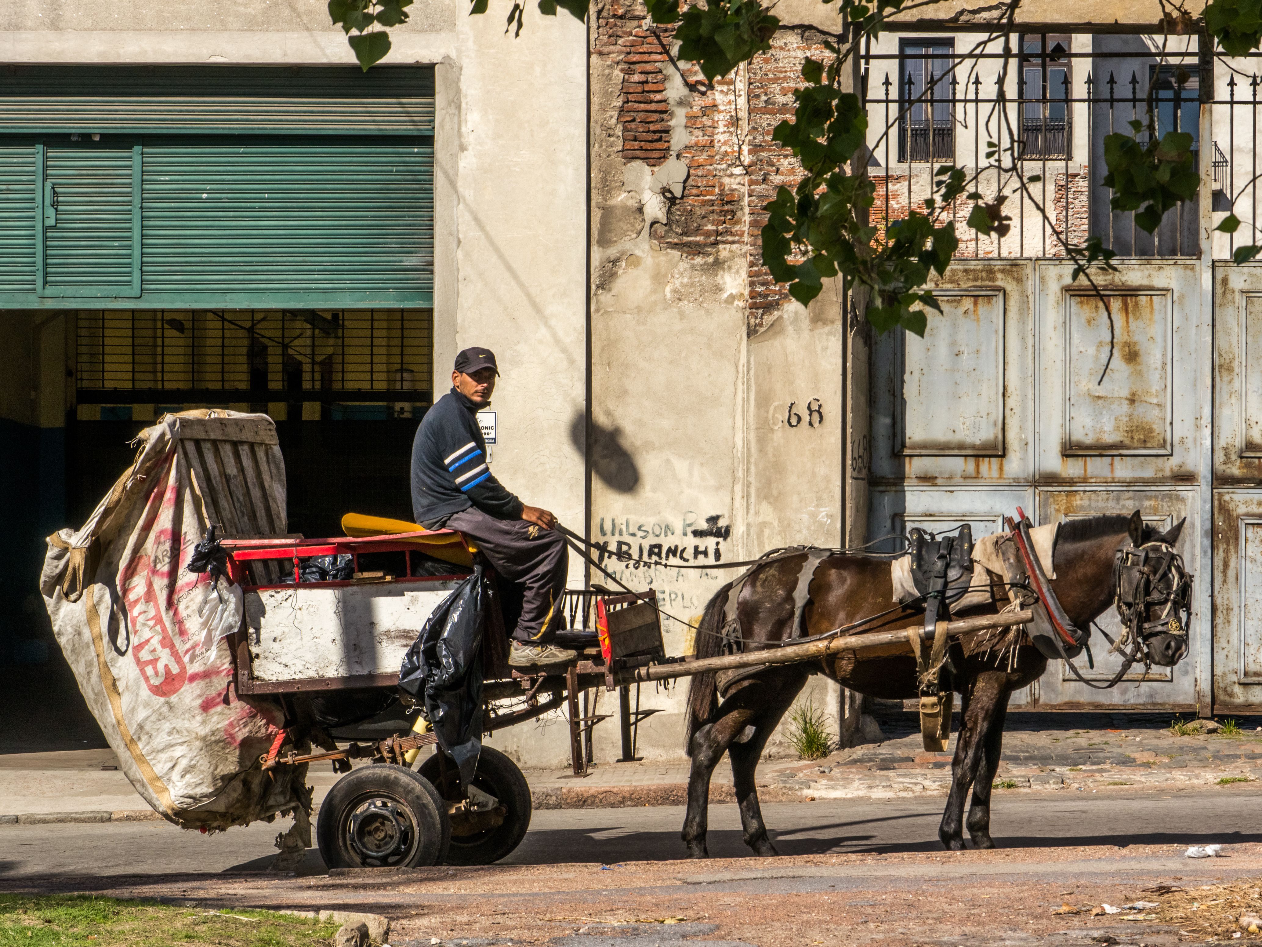 Montevideo-Pferdewagen-1030797