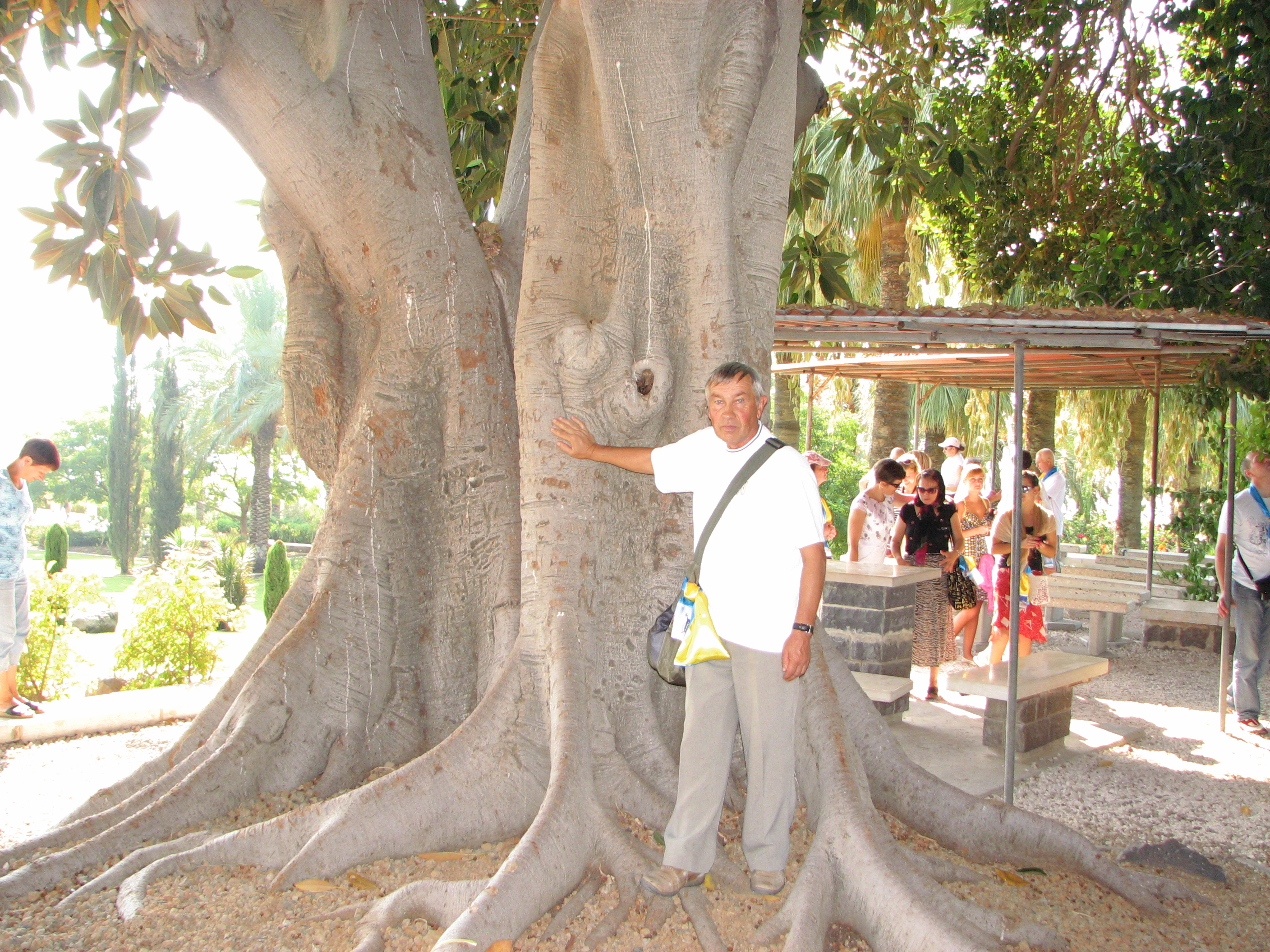 People on the Mount where the most famous Sermon was taught by Jesus, Galilee, Israel, picture 3.