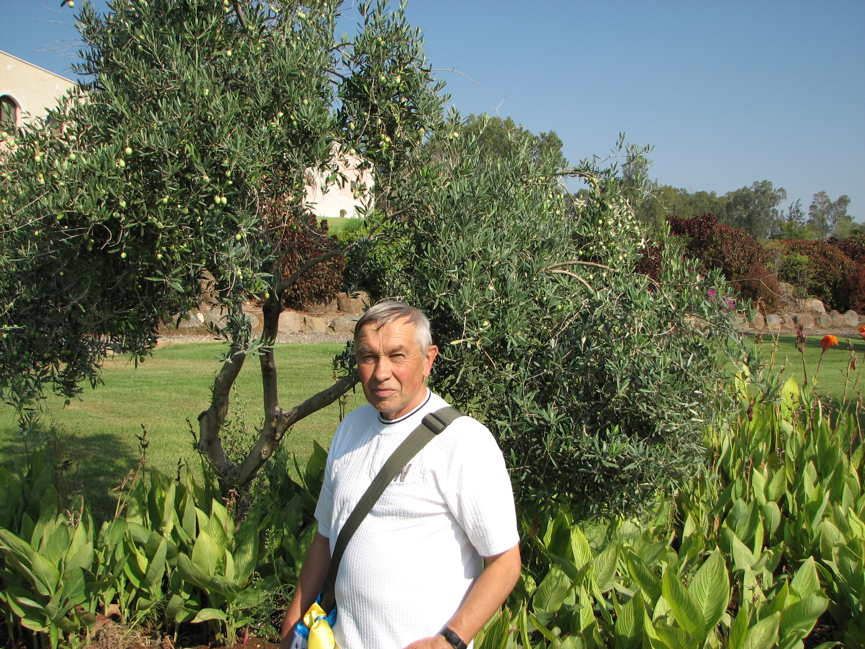 A man on the Mount where the most famous Sermon was taught by Jesus, Galilee, Israel, picture 5