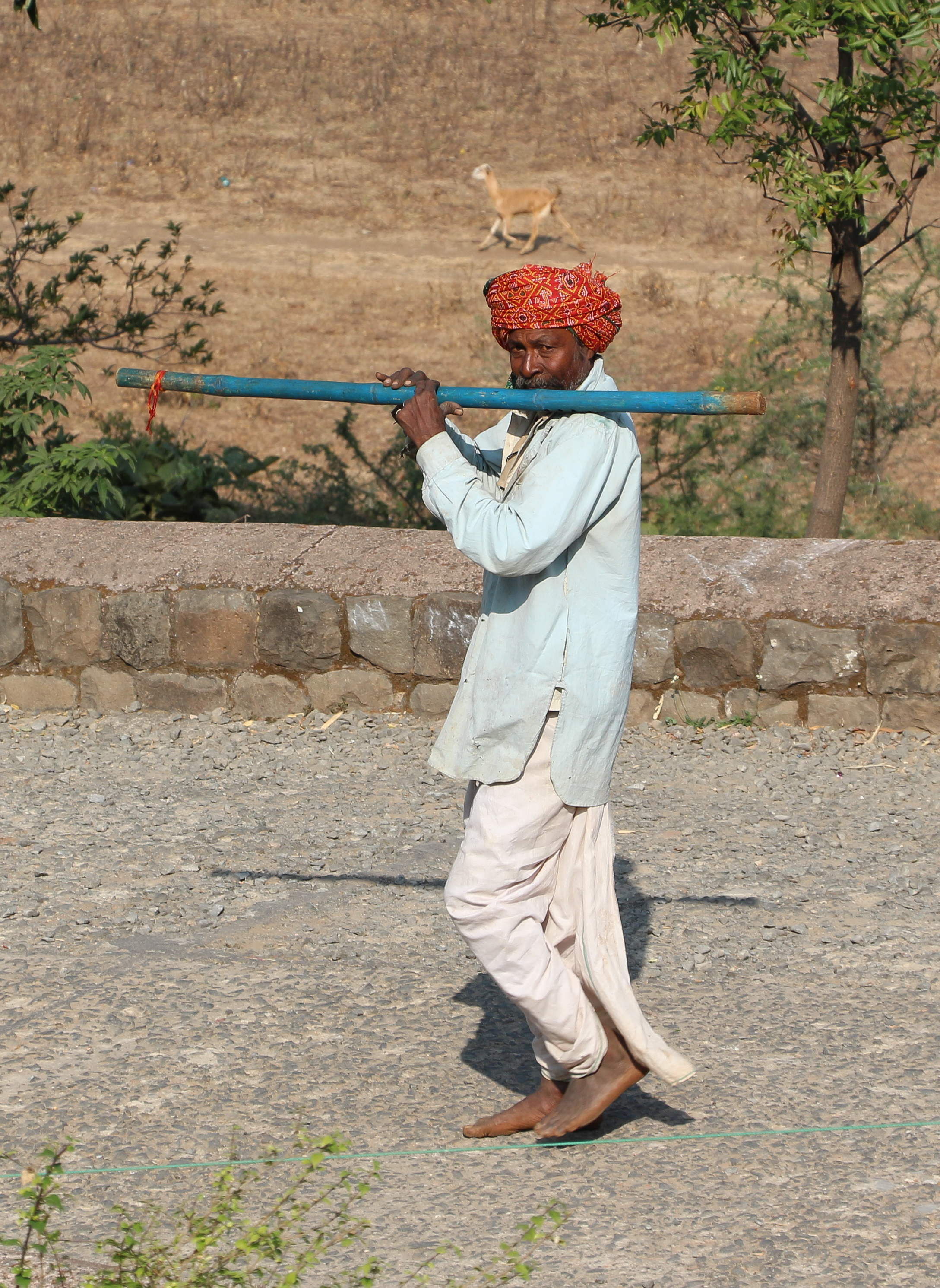 Musician in Mandu