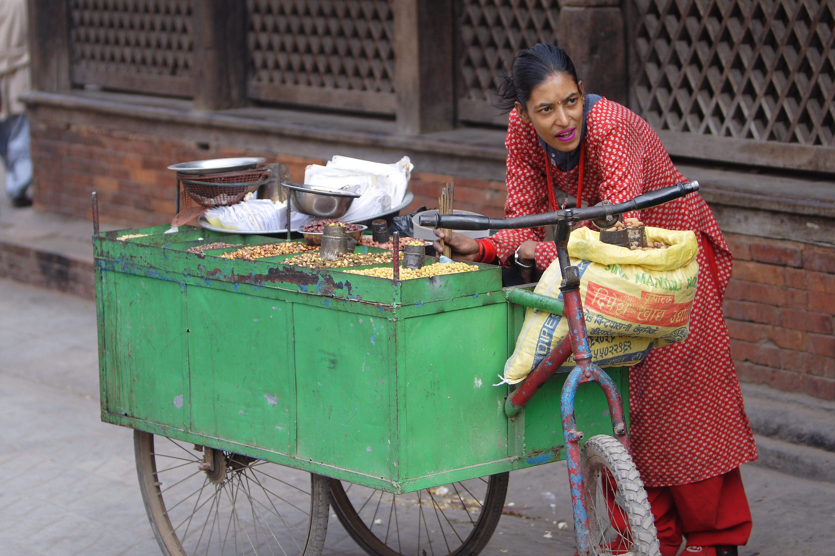 Nut Seller, Kathmandu, Nepal (10711323574)