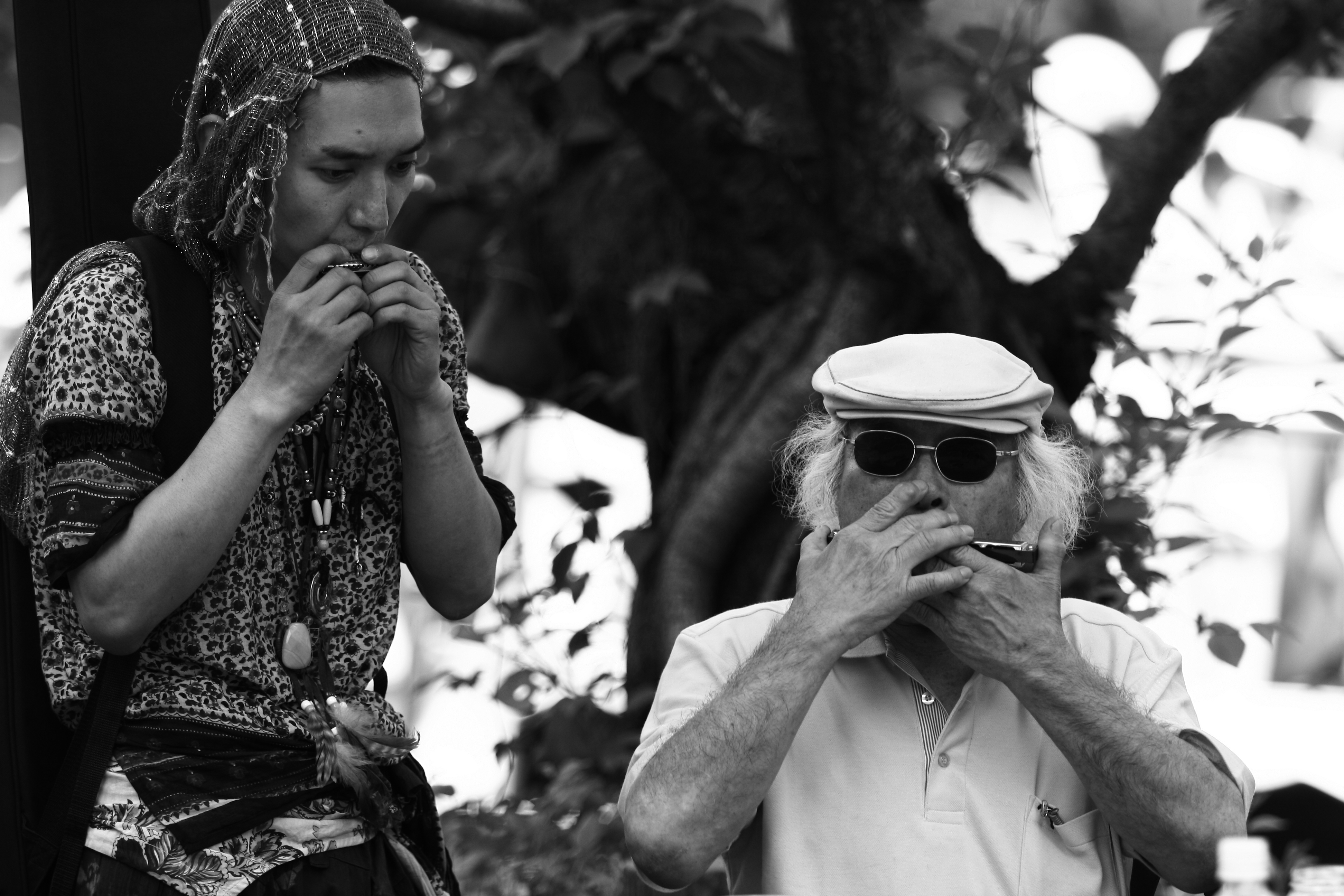 Park musicians@Inokashira Park, 2008-05-24
