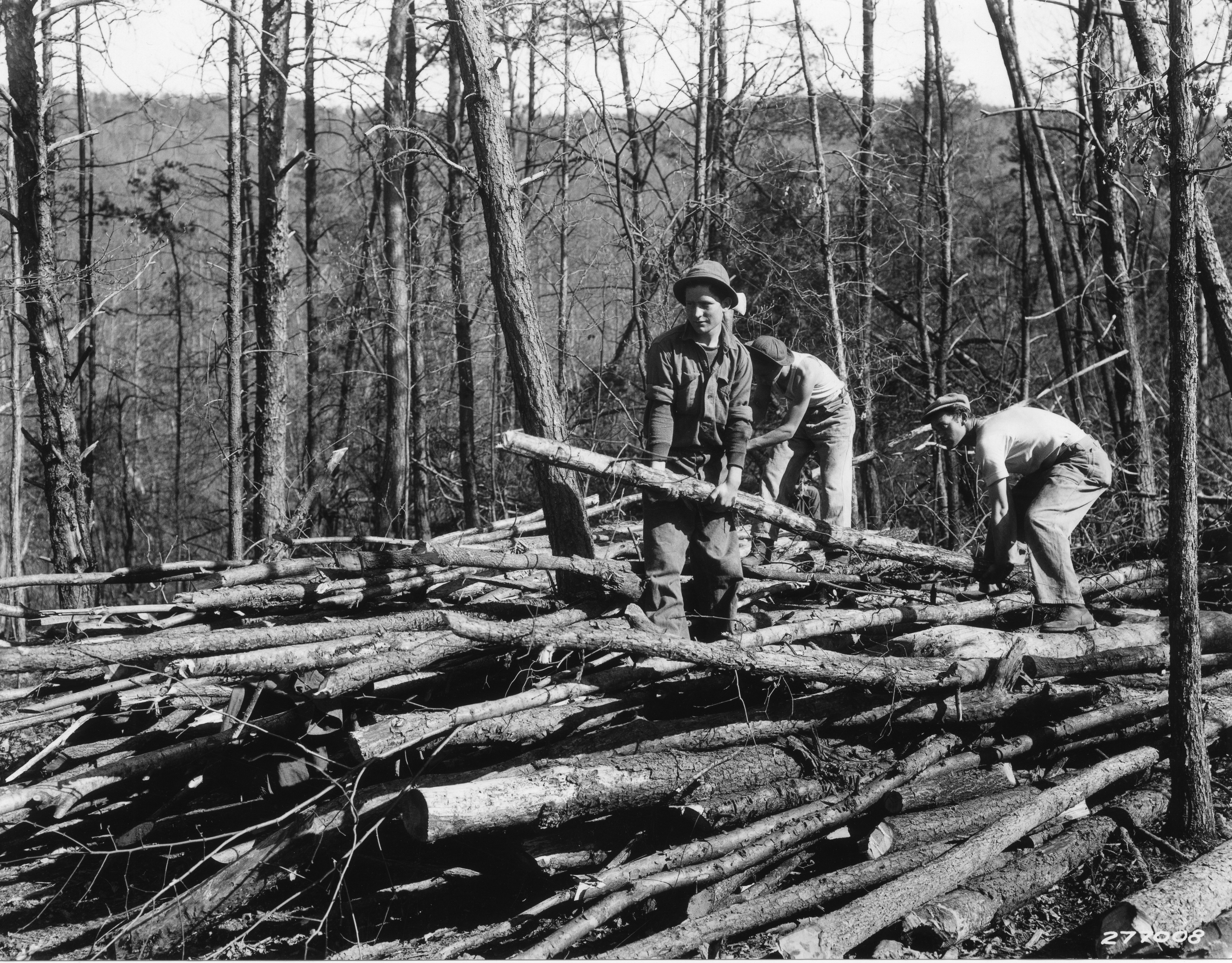 Piling up poles, Camp Roosevelt, George Washington National Forest, Virginia (3226943004)