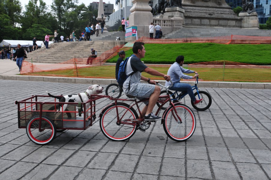 15-07-12-Ciclistas-en-Mexico-RalfR-N3S 8979