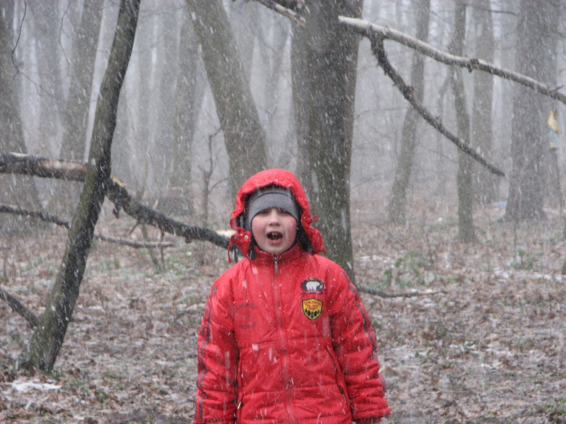 A boy in a forest during a snowfall