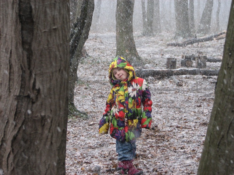 a child girl in a forest during a snowfall