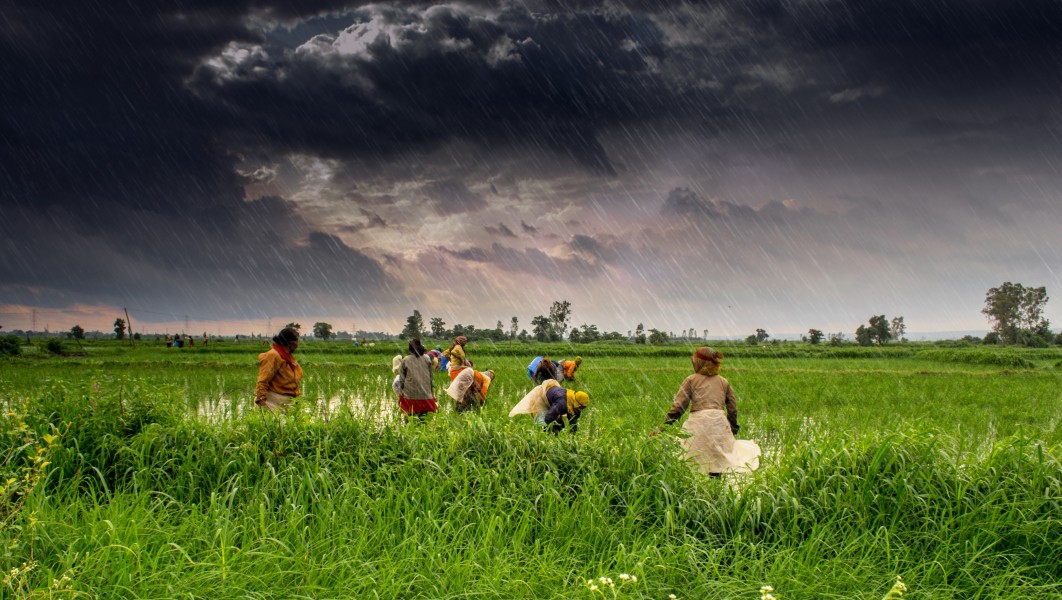 (1) Agriculture and rural farms of India