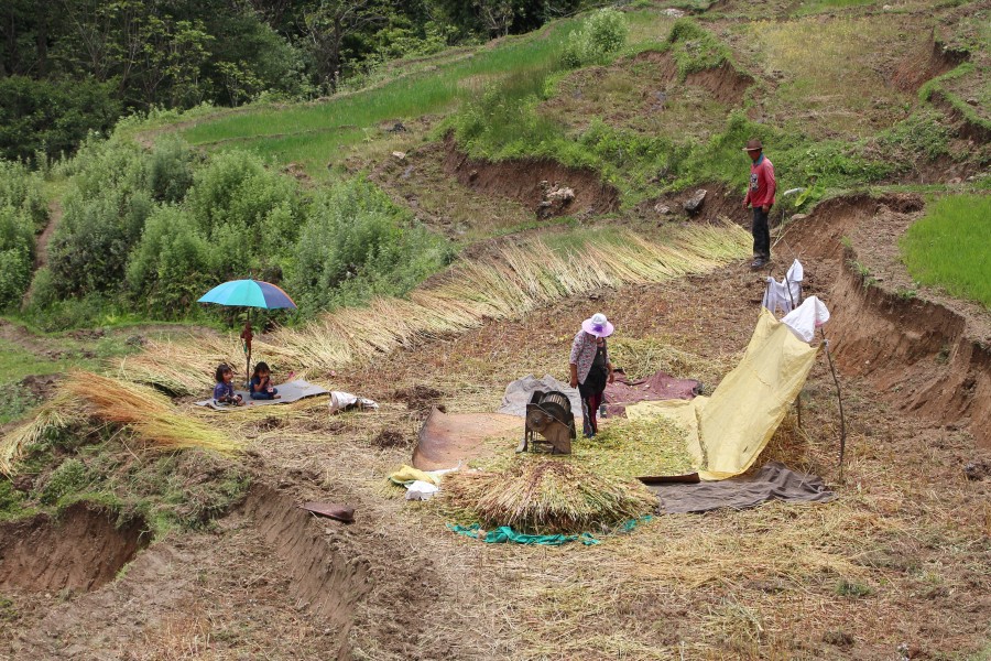 Agriculture in Bhutan 03